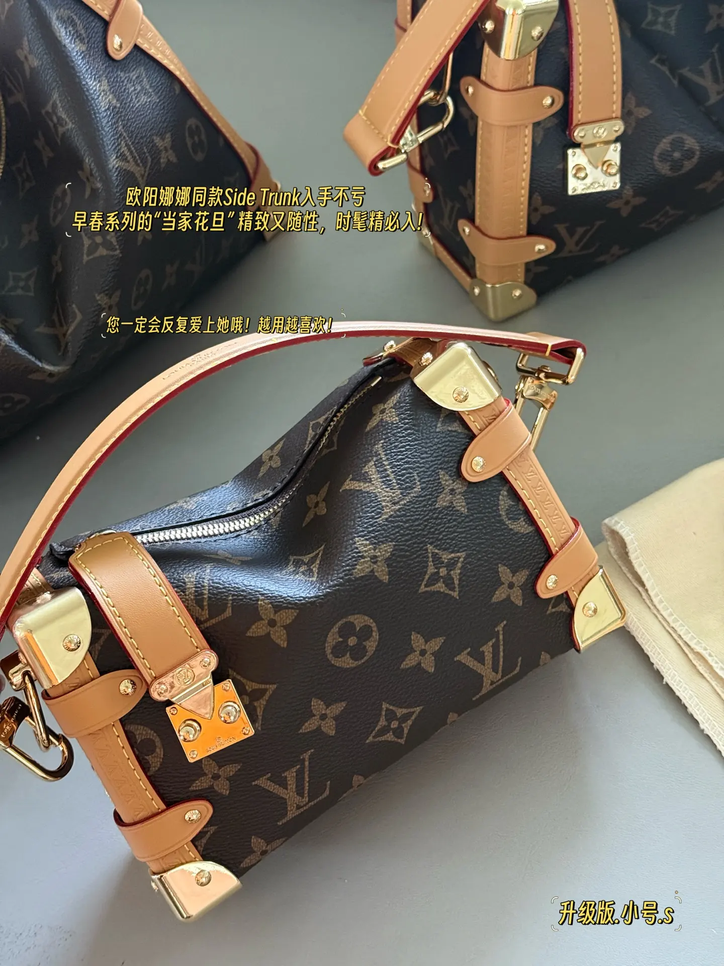 Louis Vuitton Monogram Side Trunk Soft Box Bag D37016229