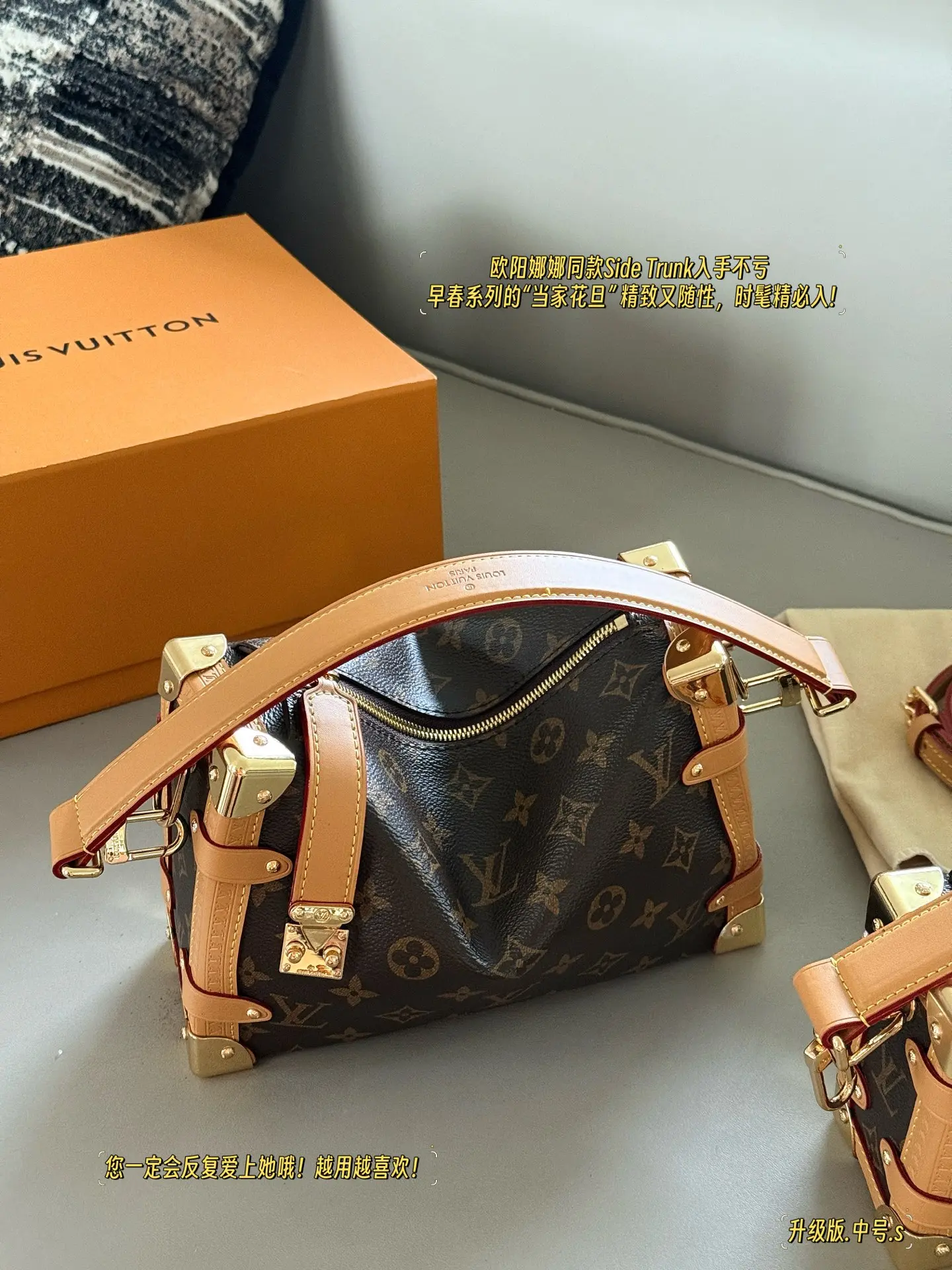 Monogram Side Trunk Soft Box Bag D37016230