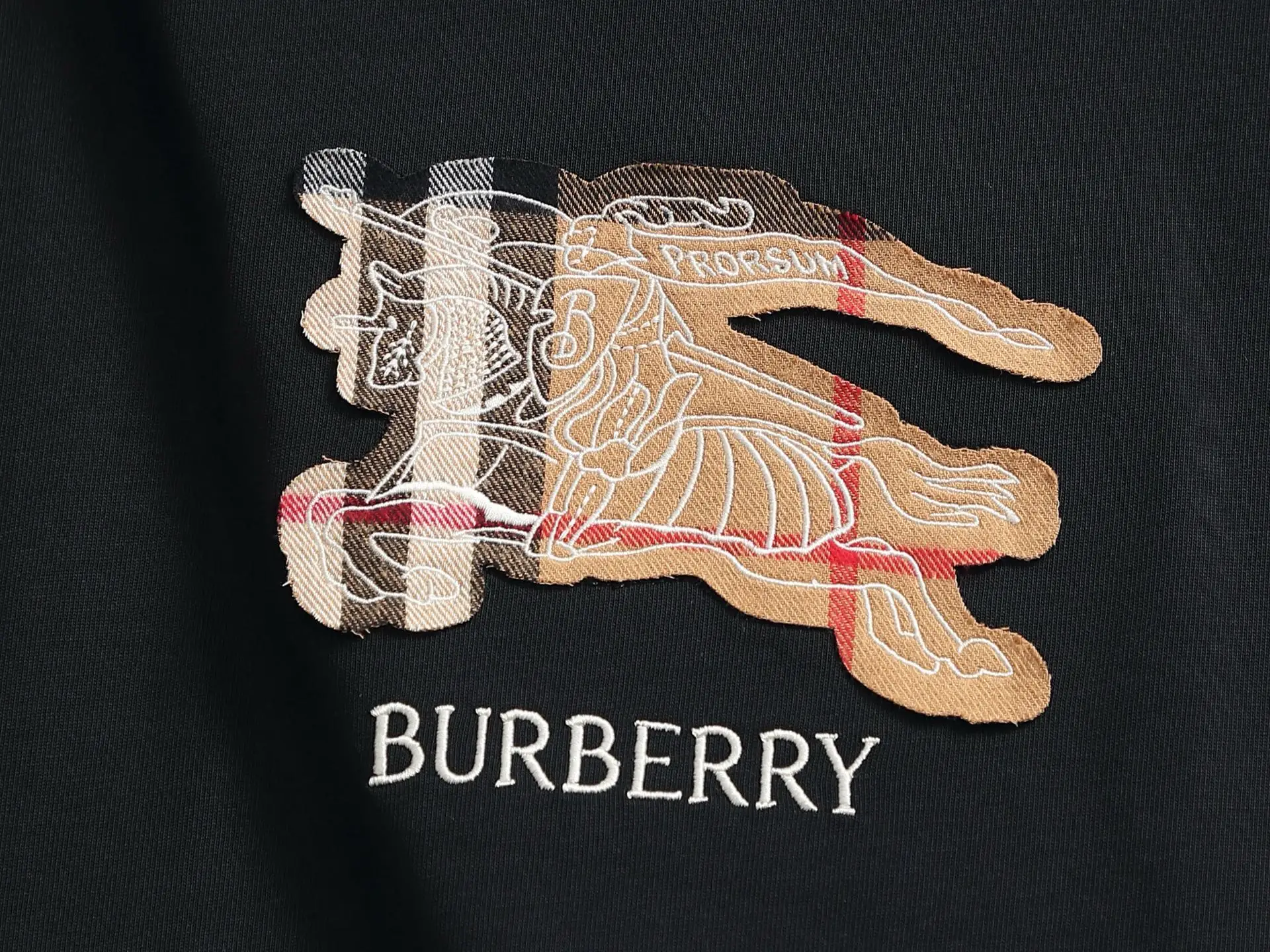 Logo Appliqué Cotton Jersey T-Shirt D13513279 — view 4