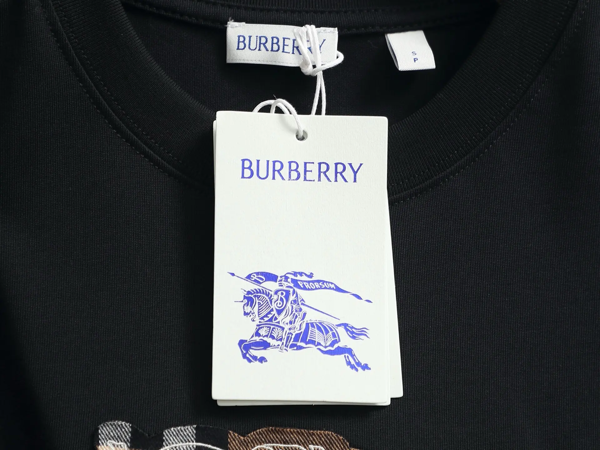 Logo Appliqué Cotton Jersey T-Shirt D13513279 — view 6