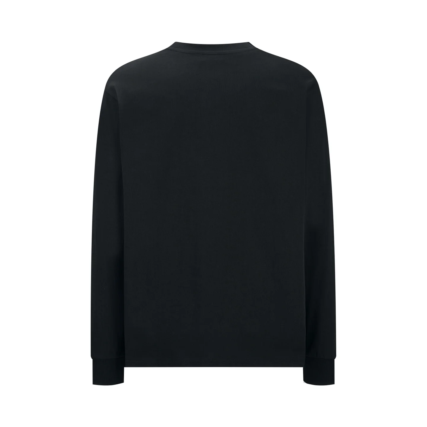 Triomphe Embroidered Long-Sleeve T-Shirt D17519231 — view 2