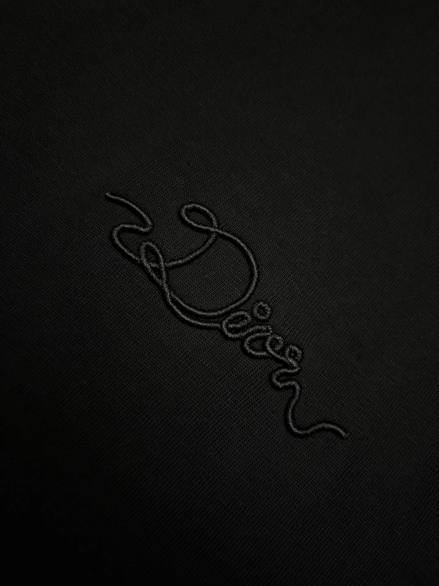 Embroidered Logo Cotton T-Shirt D17514875 — view 5