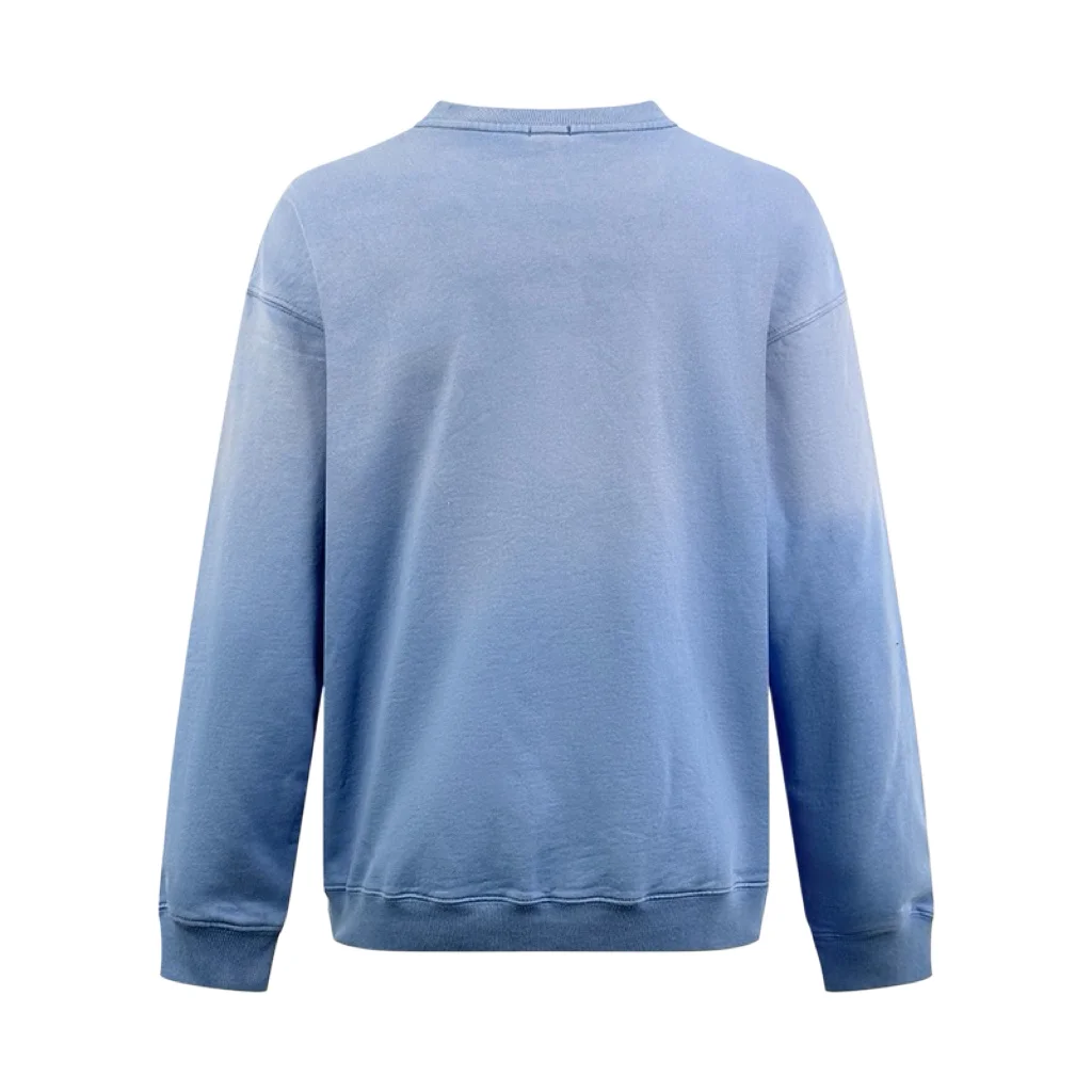 Anagram Embroidered Gradient Cotton Sweatshirt D22521231 — view 2