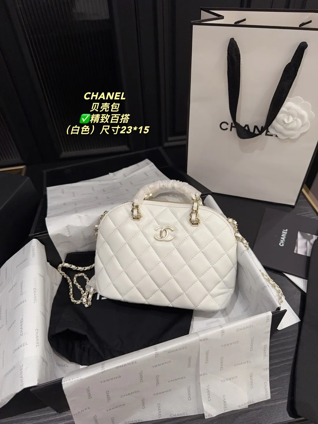 Chanel Quilted Lambskin Shell Bag D28018131 — view 11