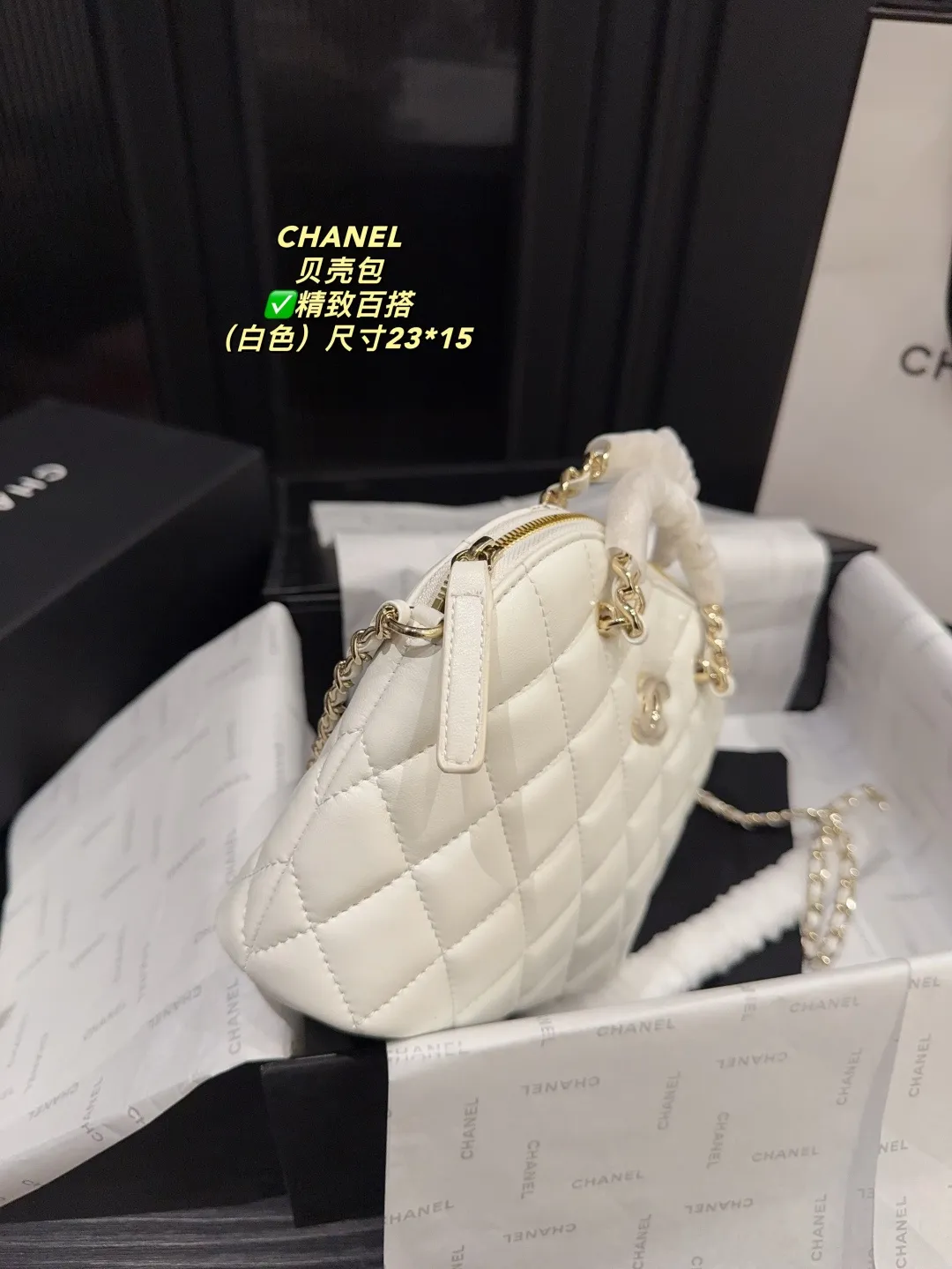 Chanel Quilted Lambskin Shell Bag D28018131 — view 13