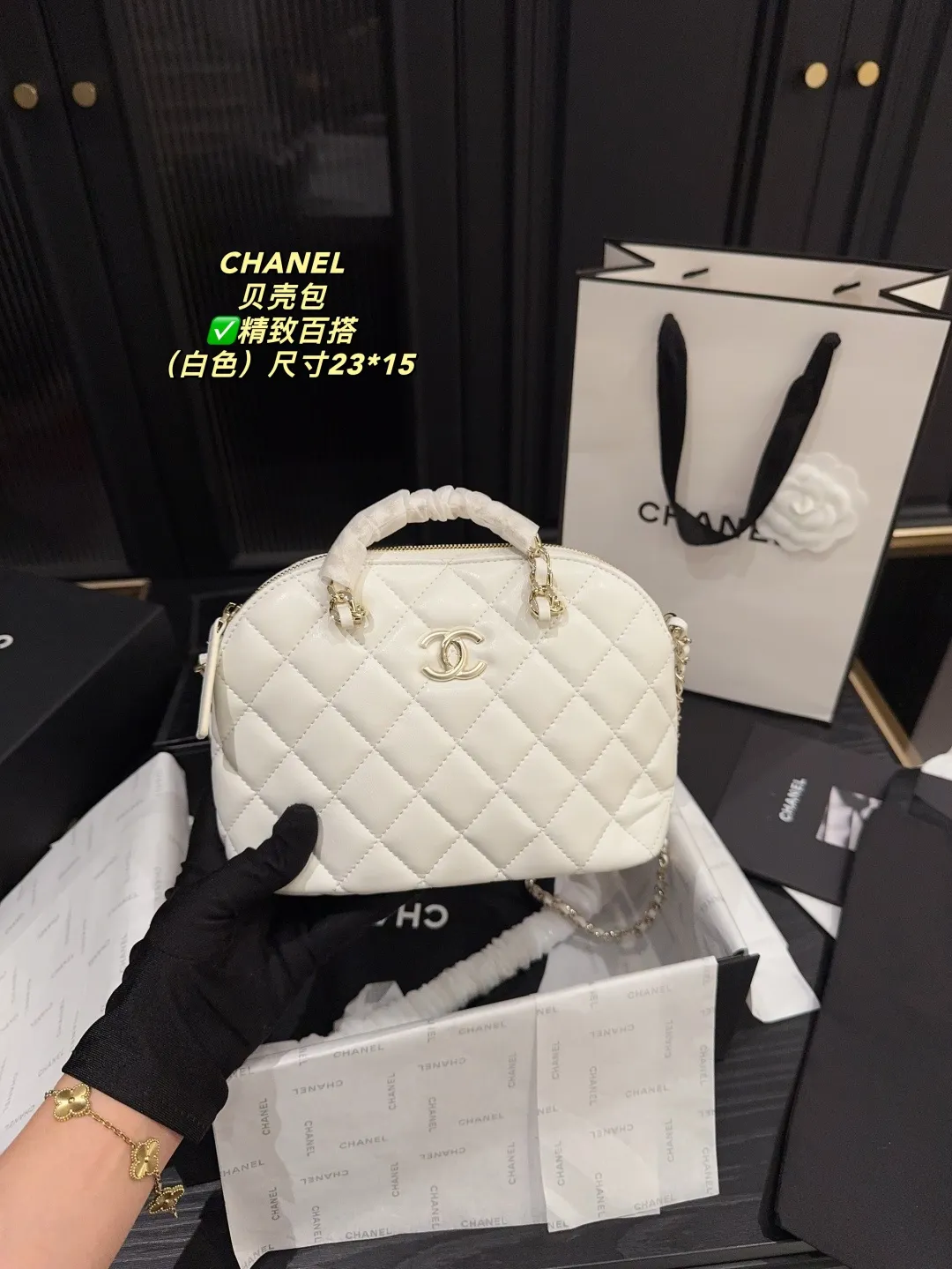 Chanel Quilted Lambskin Shell Bag D28018131 — view 14