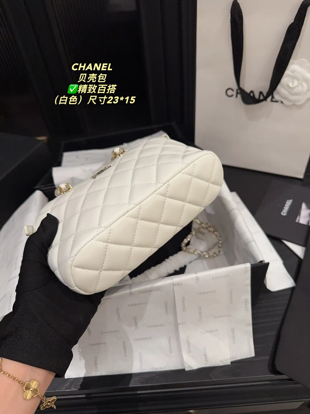 Chanel Quilted Lambskin Shell Bag D28018131 — view 15