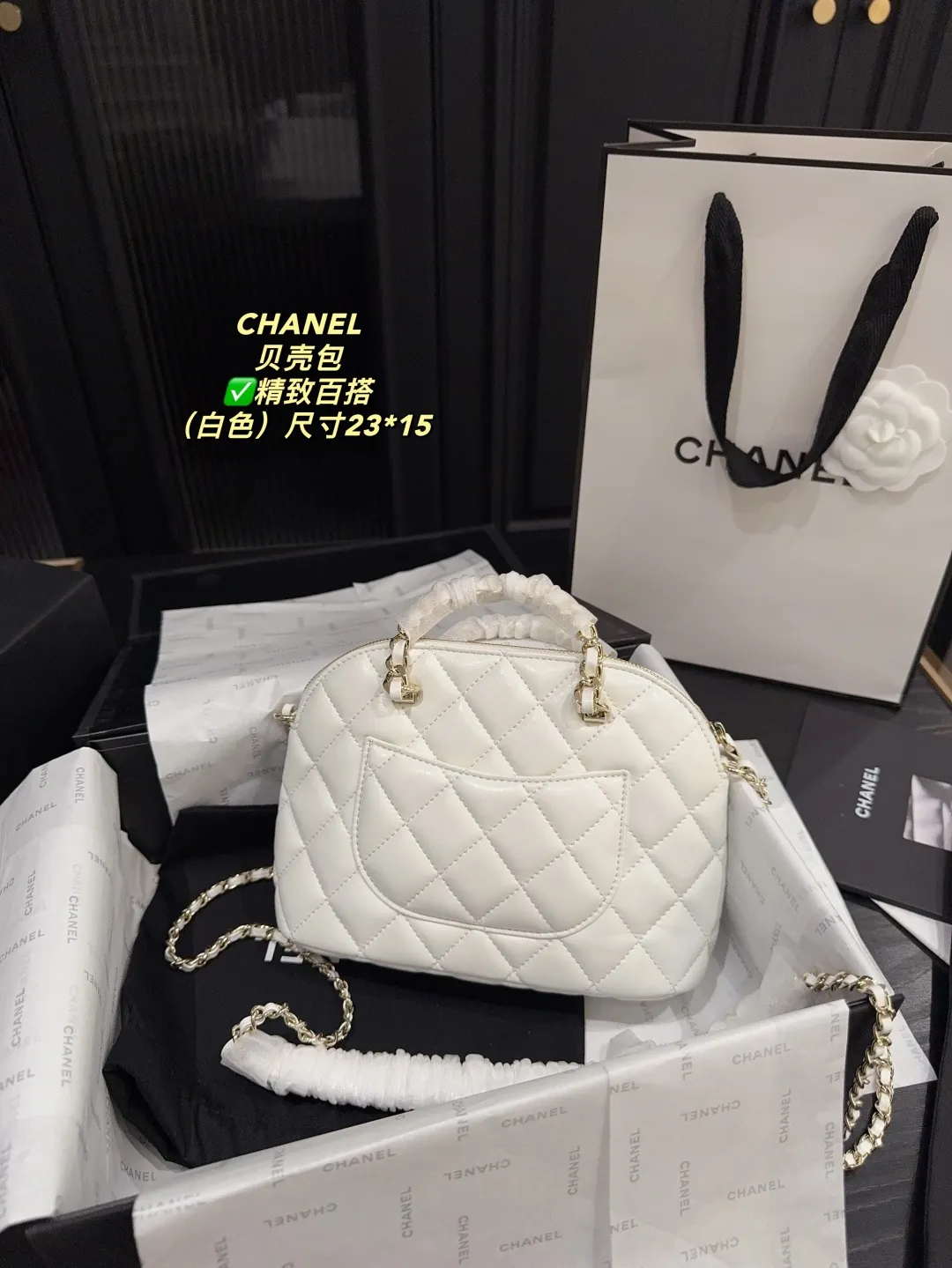 Chanel Quilted Lambskin Shell Bag D28018131 — view 17
