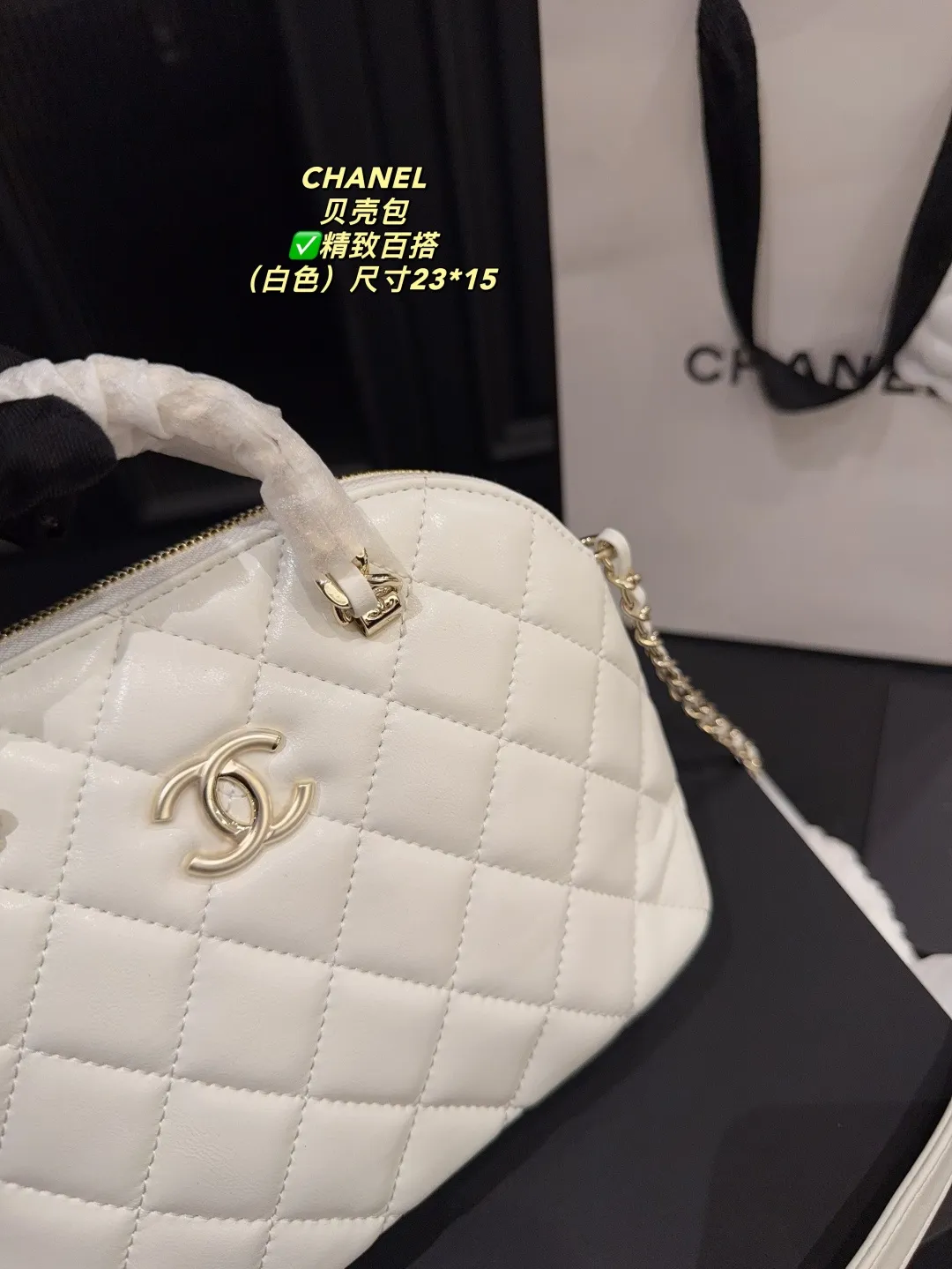 Chanel Quilted Lambskin Shell Bag D28018131 — view 18