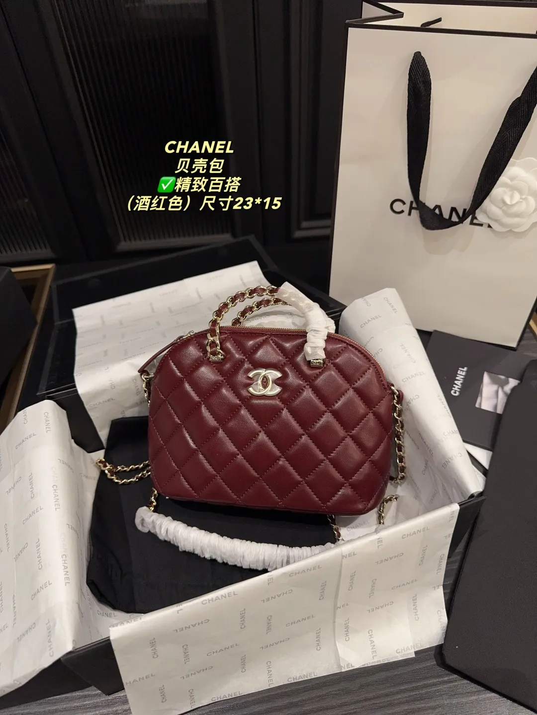 Chanel Quilted Lambskin Shell Bag D28018131 — view 19