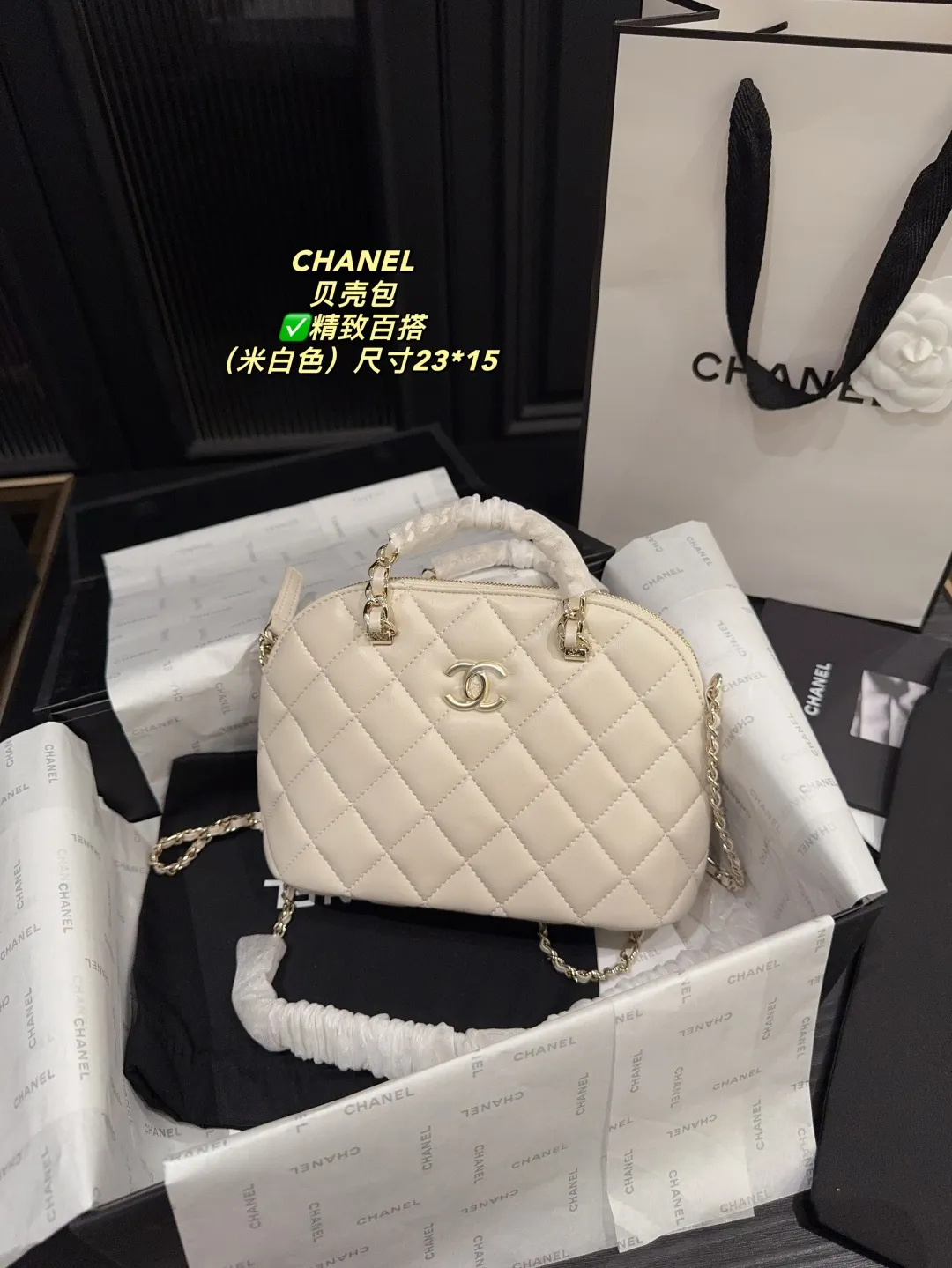 Chanel Quilted Lambskin Shell Bag D28018131 — view 20