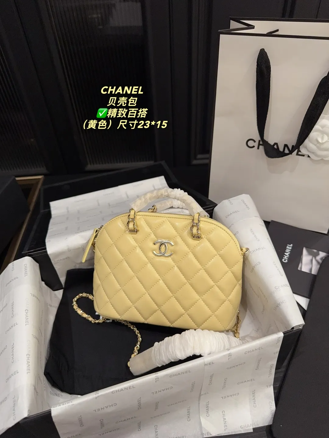 Chanel Quilted Lambskin Shell Bag D28018131 — view 21