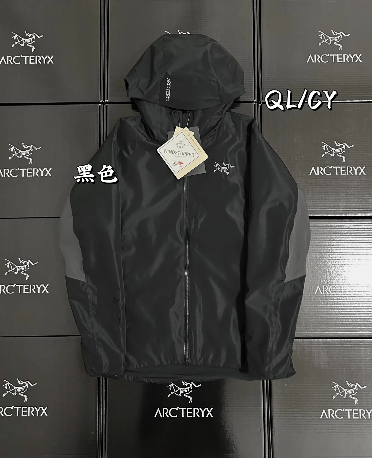 Solano GORE-TEX Insulated Hooded Jacket D36019567