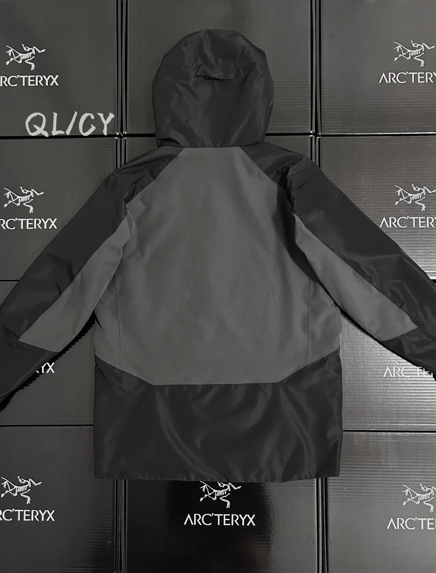 Solano GORE-TEX Insulated Hooded Jacket D36019567 — view 9