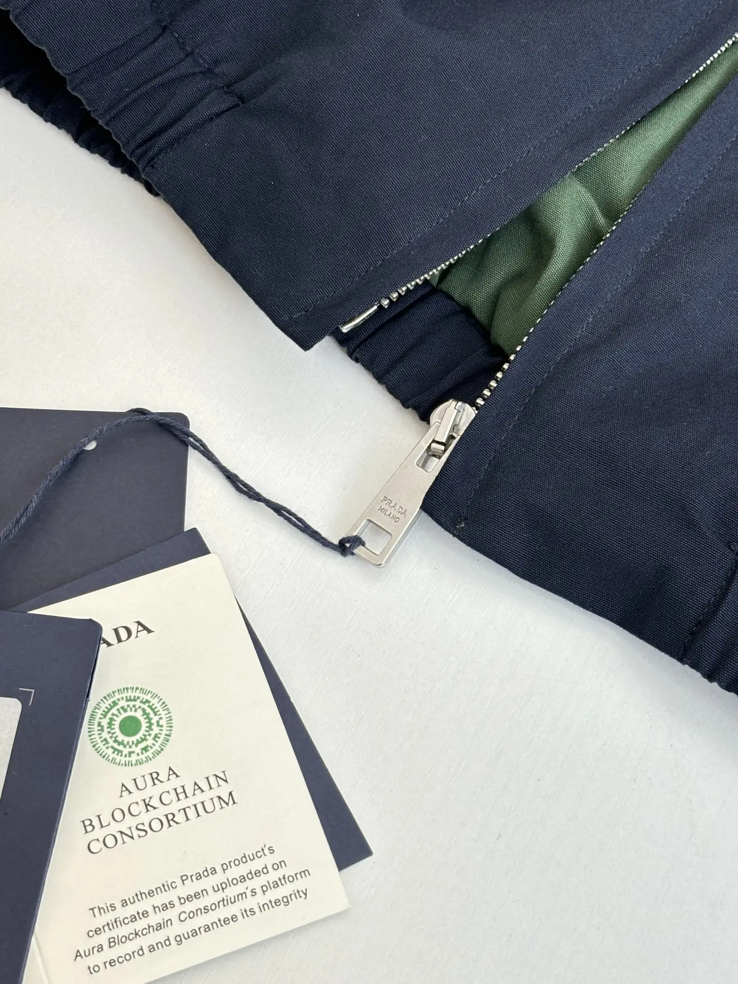Cotton Canvas Harrington Jacket D38520710 — view 8
