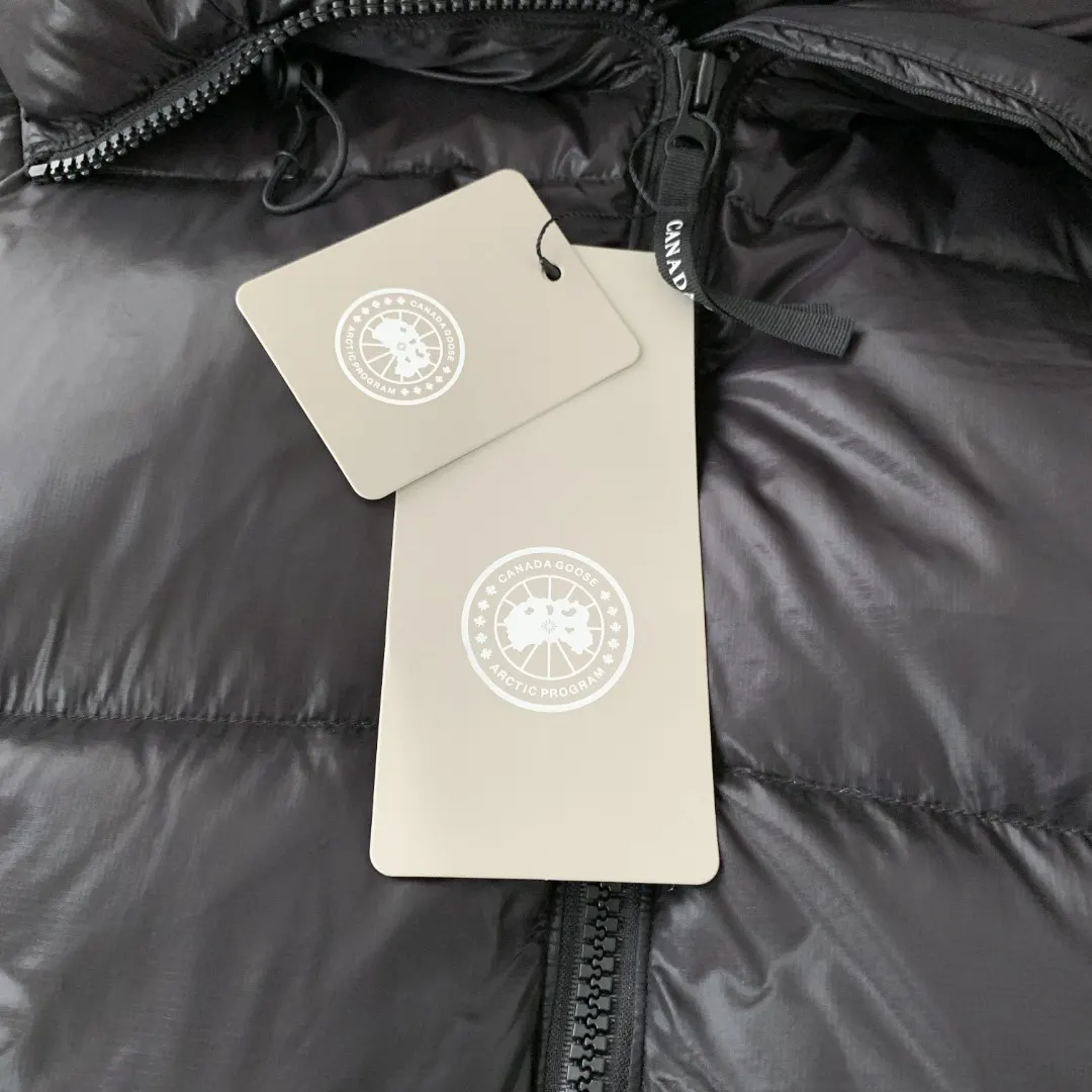 Cyess Hooded Down Puffer Jacket D57023506 — view 4