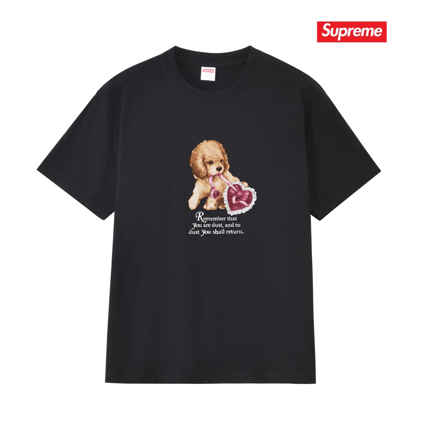 Dust Graphic Print Cotton T-Shirt D9011700
