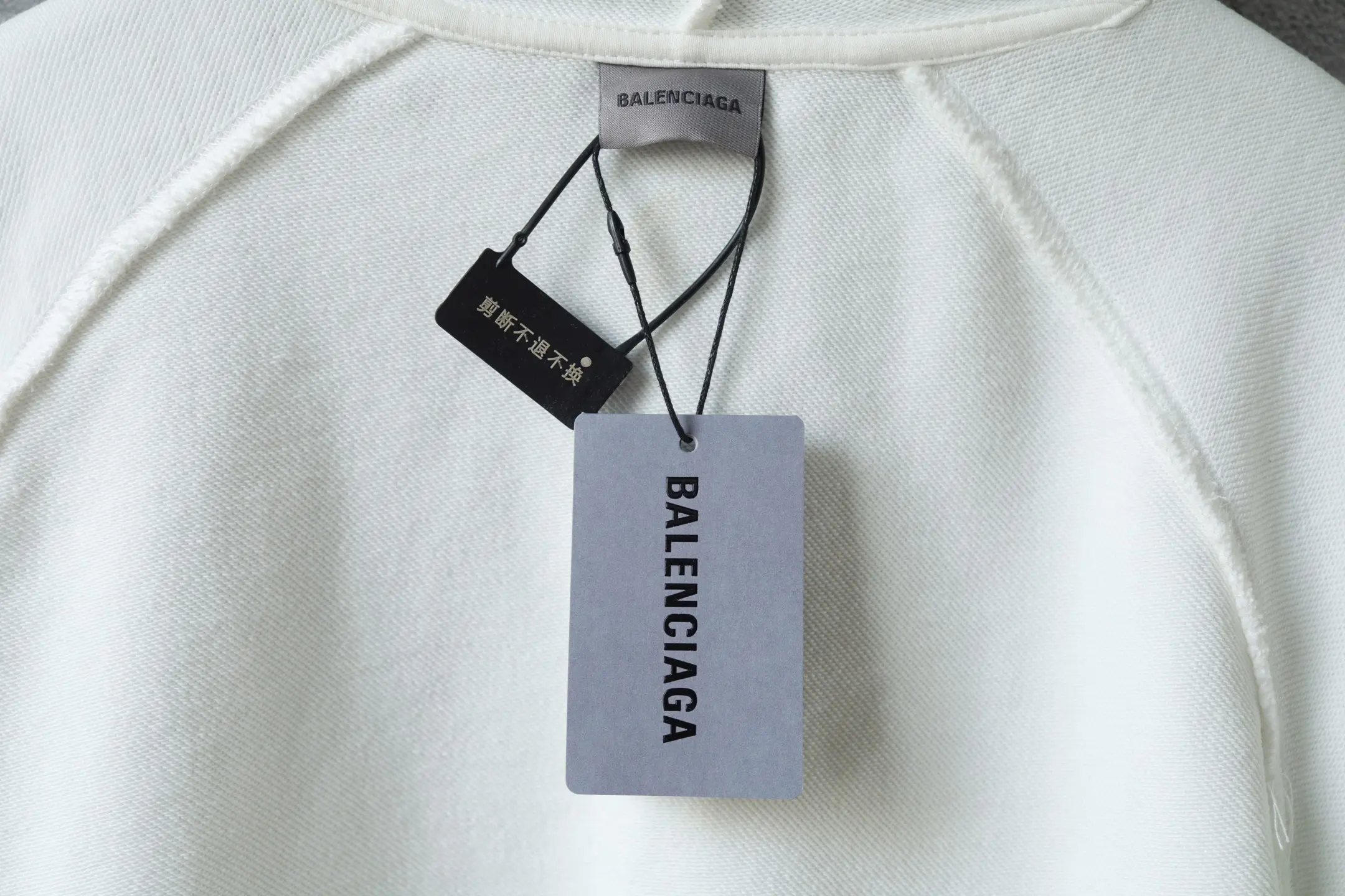 Graphic Print Distressed Zip-Up Hoodie D31918772 — view 8