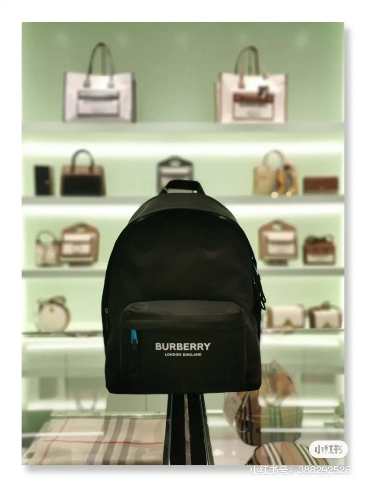 Burberry Logo Print Backpack D28518133 — view 2