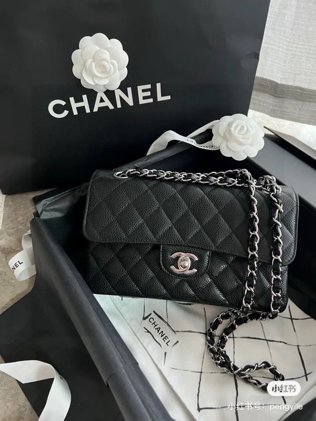 Classic Flap Bag in Caviar Leather D32017928
