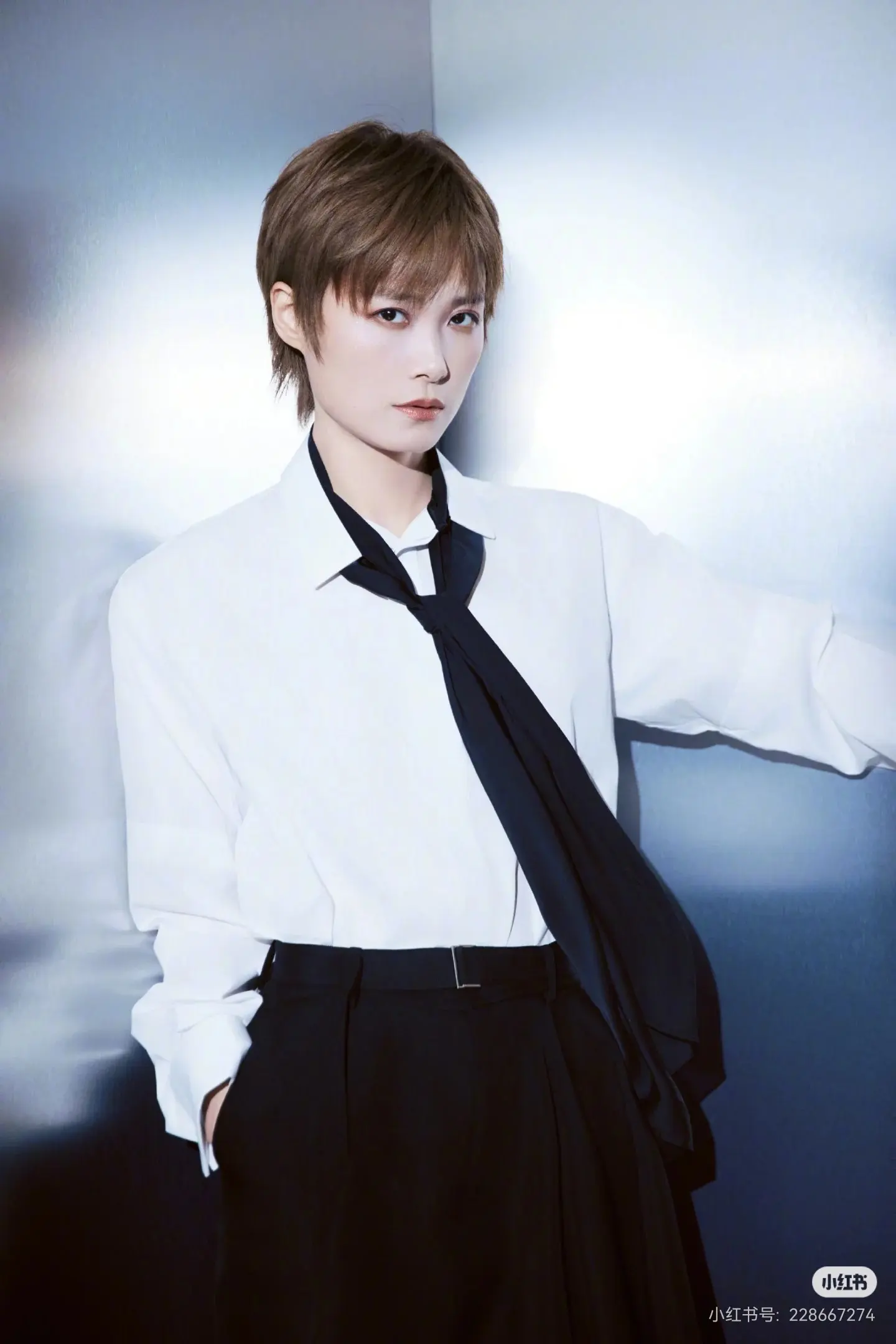 Tie-Neck Poplin Shirt with Chiffon Scarf D18522414