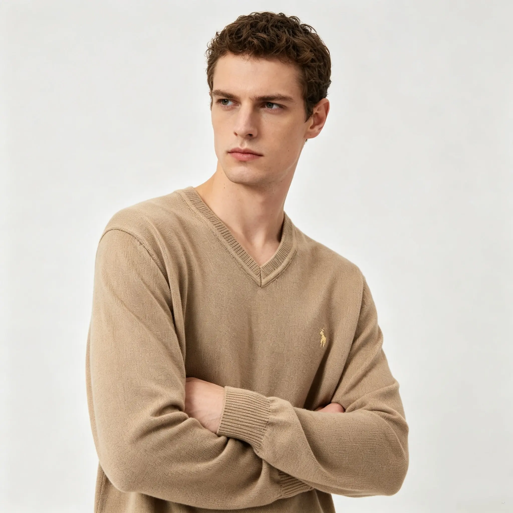 Polo Pony V-Neck Cotton Knit Sweater D25022384 — view 5