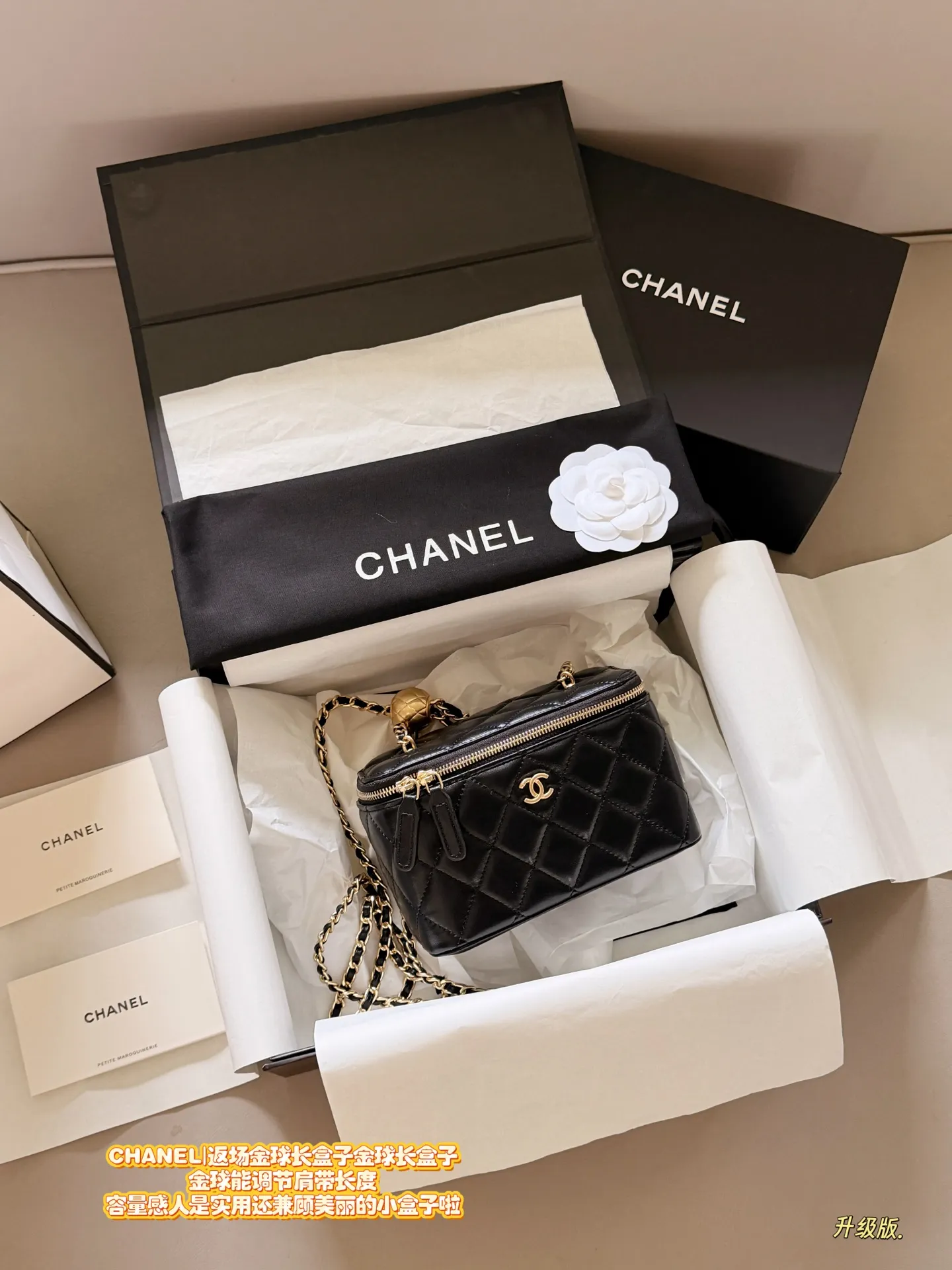 Chanel Quilted Vanity Case with Chain D28018010