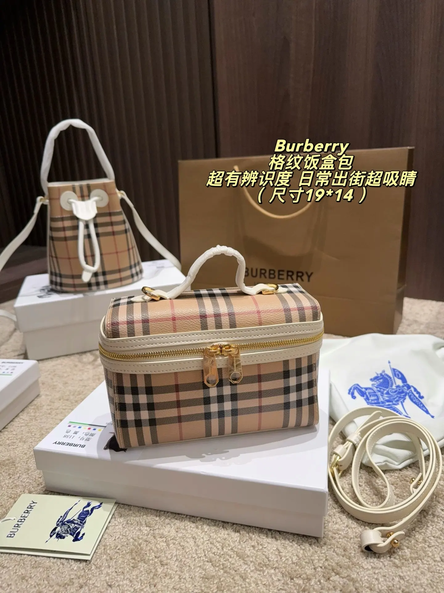 Check Canvas Box Bag D30018488