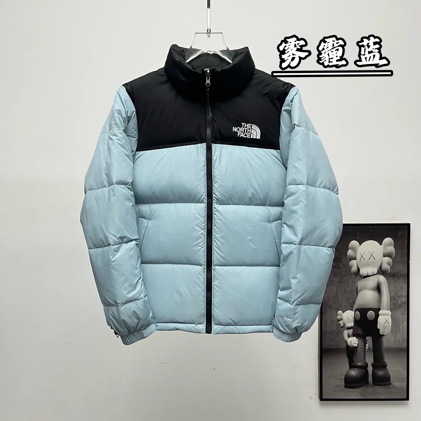 1996 Retro Nuptse Down Jacket D30019078