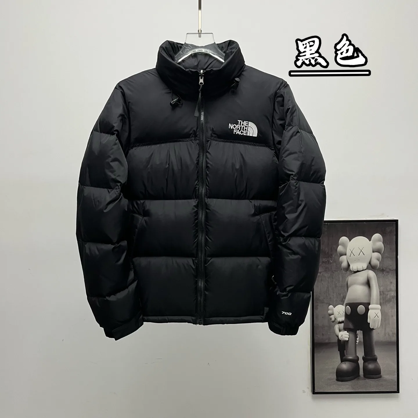 1996 Retro Nuptse Down Jacket D30019075