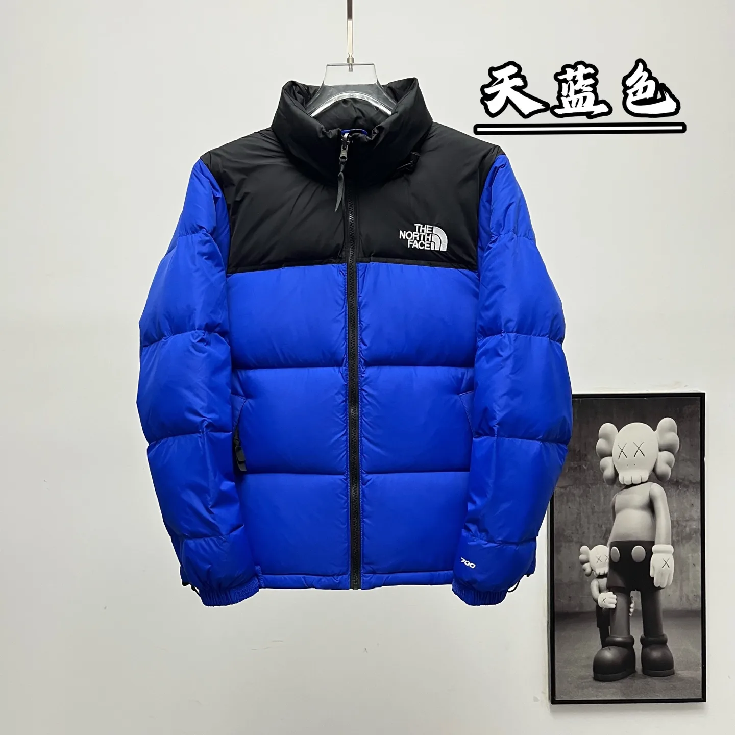 1996 Retro Nuptse Down Jacket D30019075 — view 10