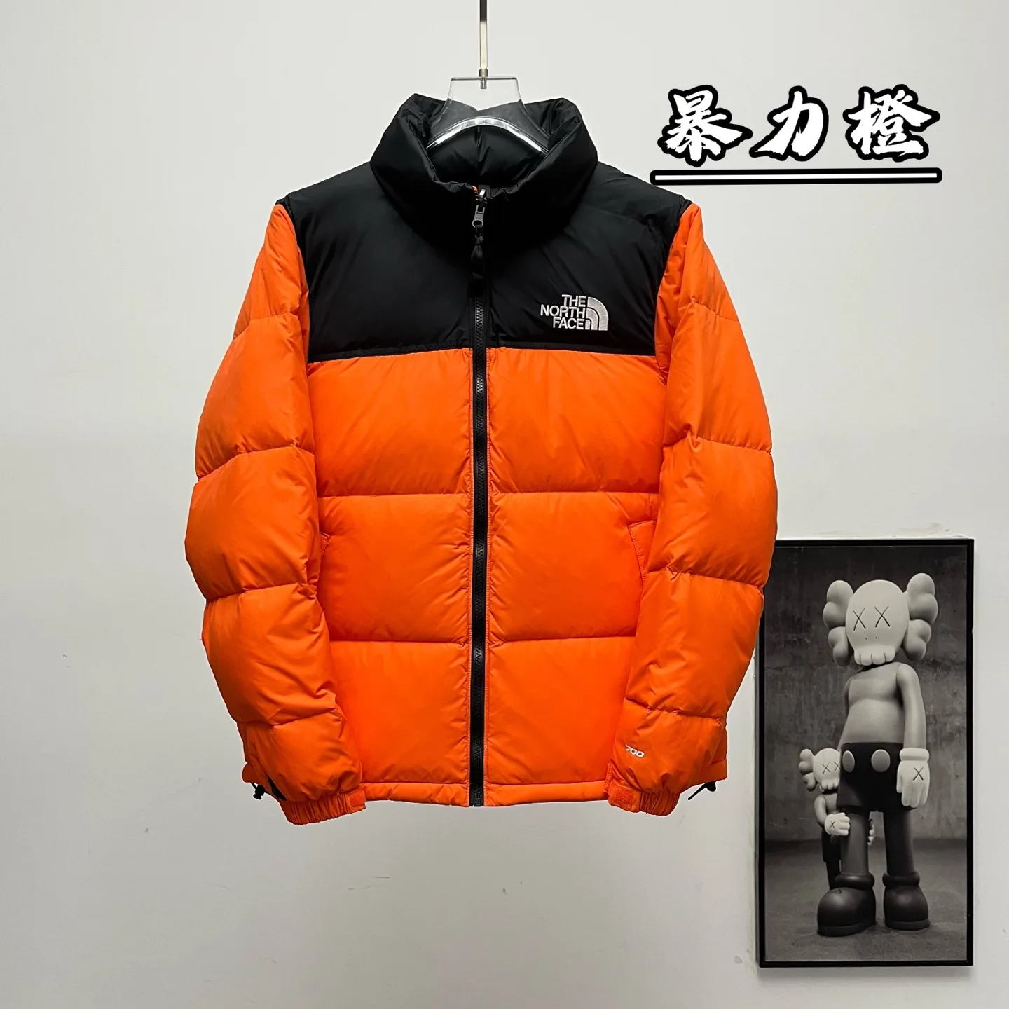 1996 Retro Nuptse Down Jacket D30019075 — view 11