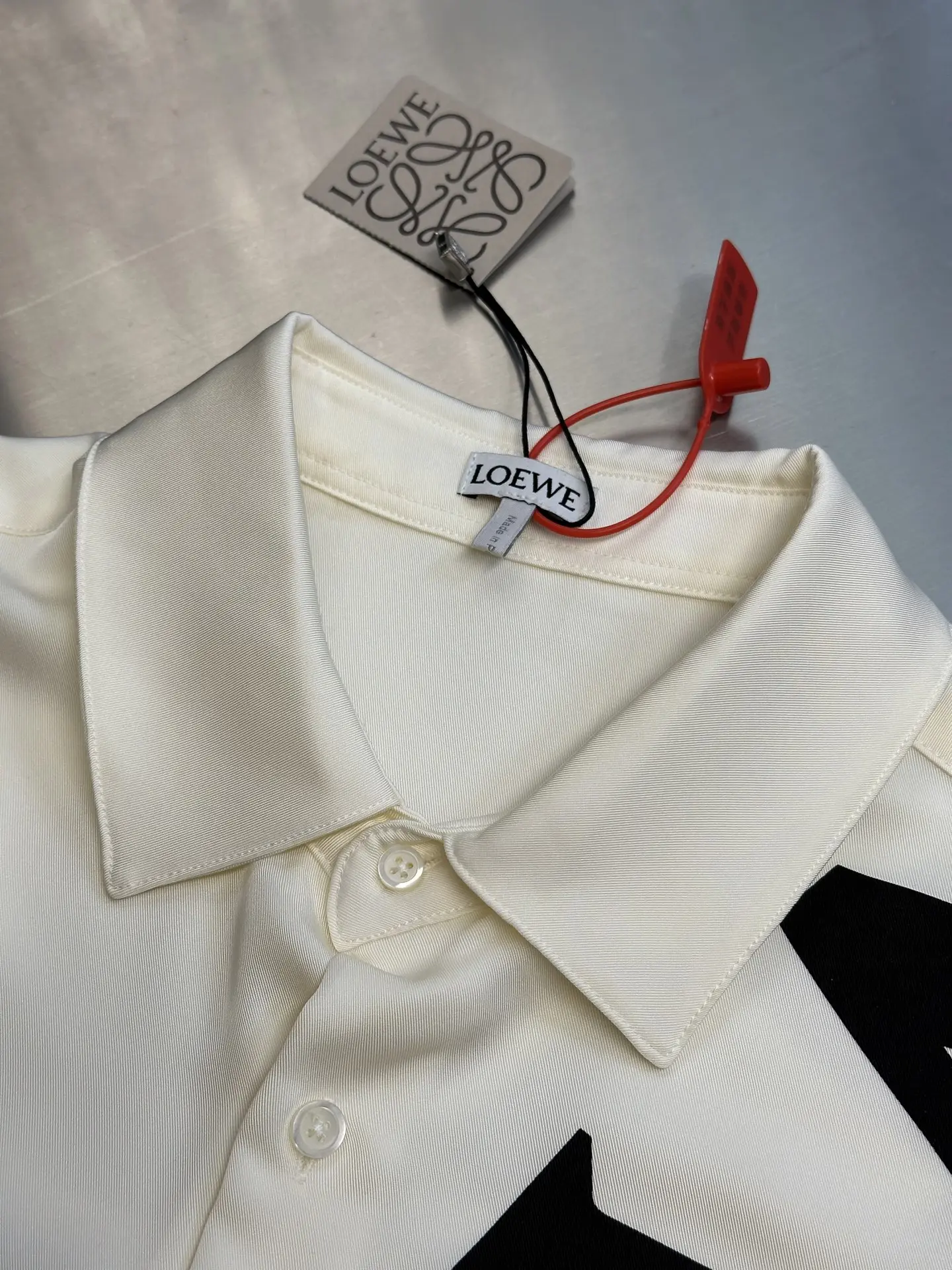 Logo Print Silk Long-Sleeve Shirt D31019160 — view 5