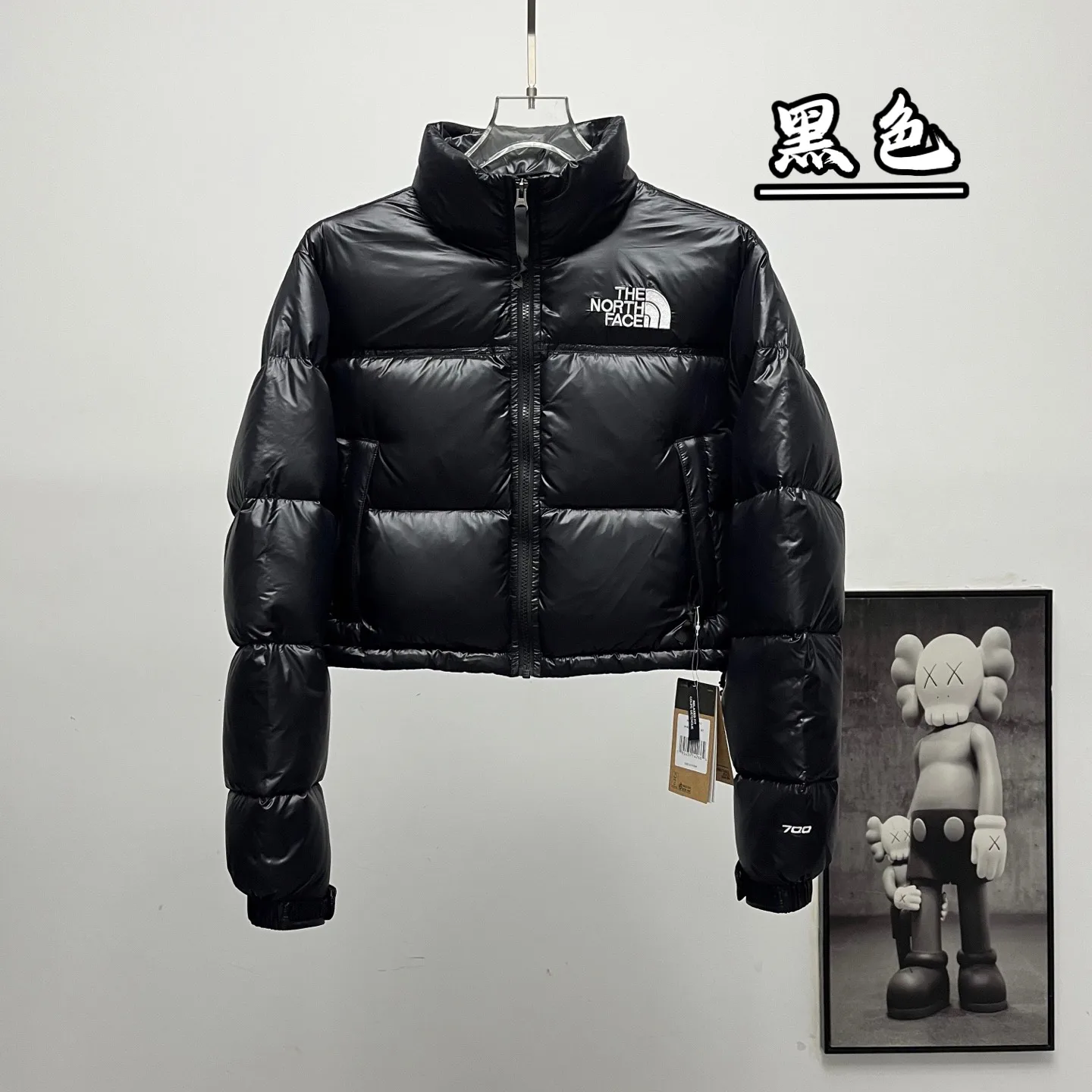 Nuptse Cropped Down-Filled Puffer Jacket D31019079