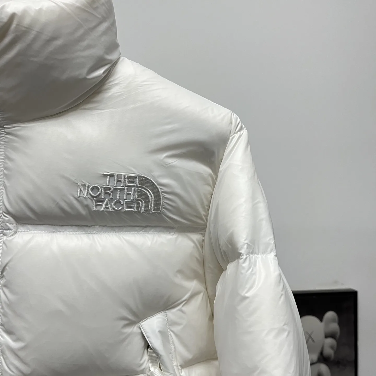Nuptse Cropped Down-Filled Puffer Jacket D31018949 — view 6