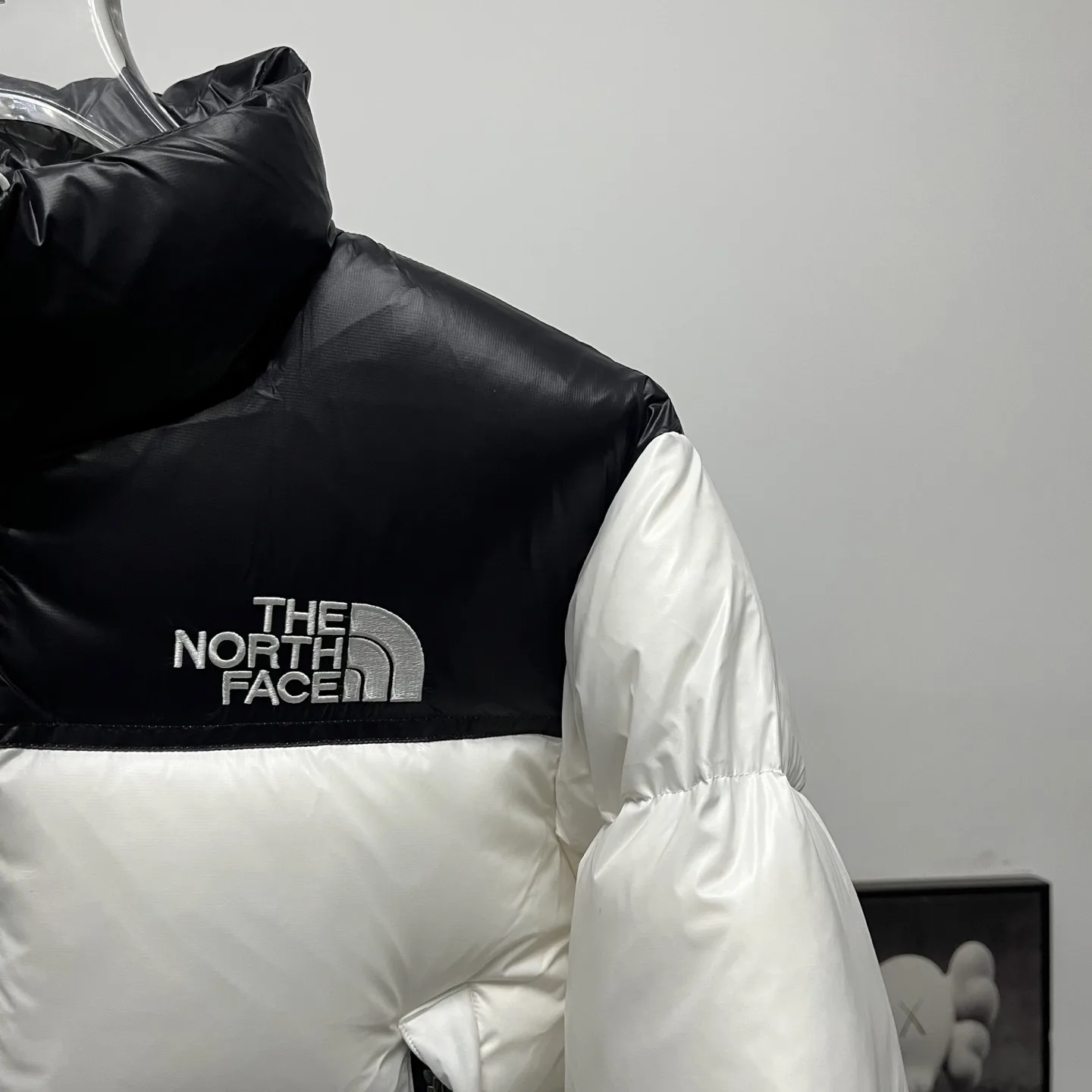 1984 Nuptse Cropped Down Puffer Jacket D31018950 — view 6