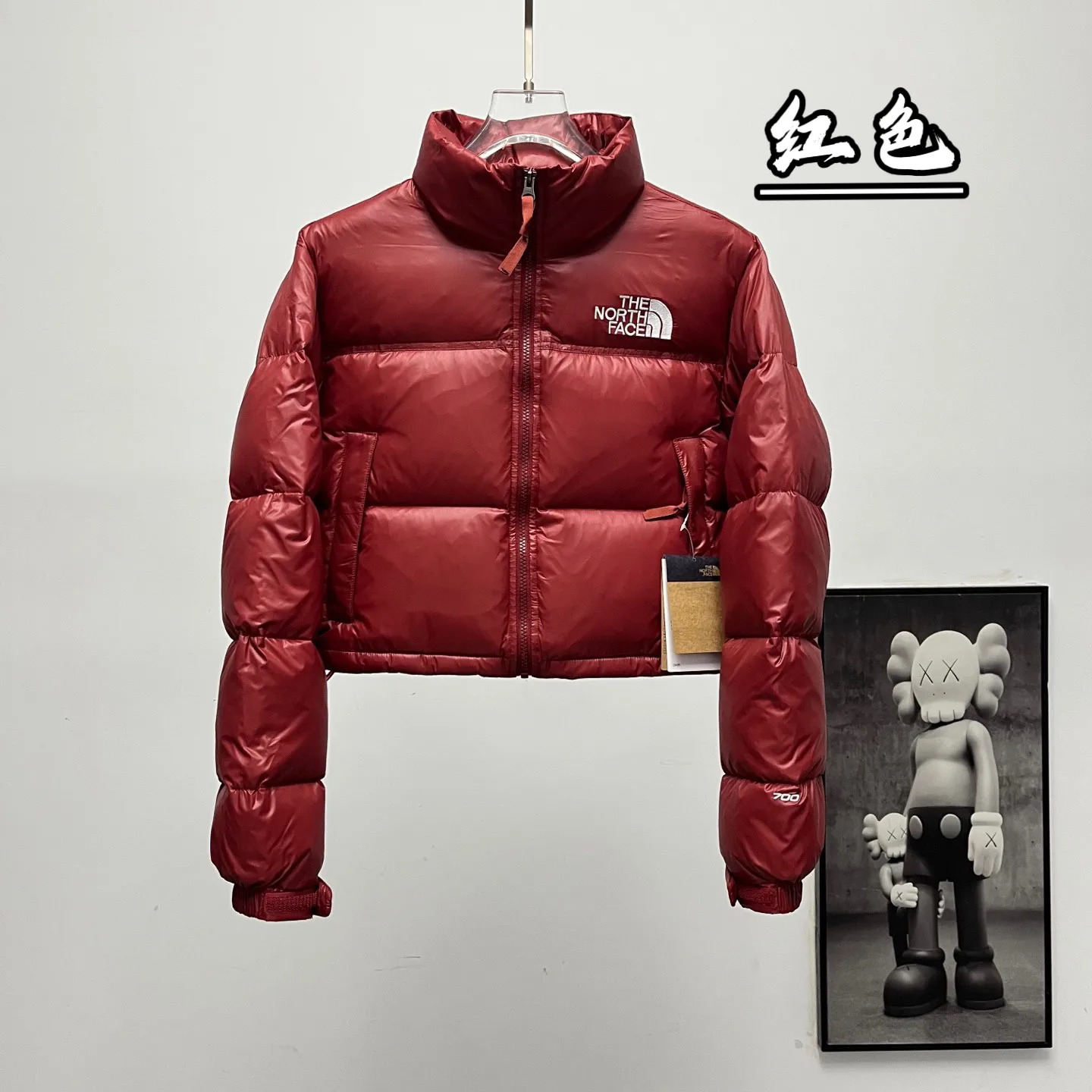 Nuptse Cropped Down-Filled Puffer Jacket D31018951 — view 9