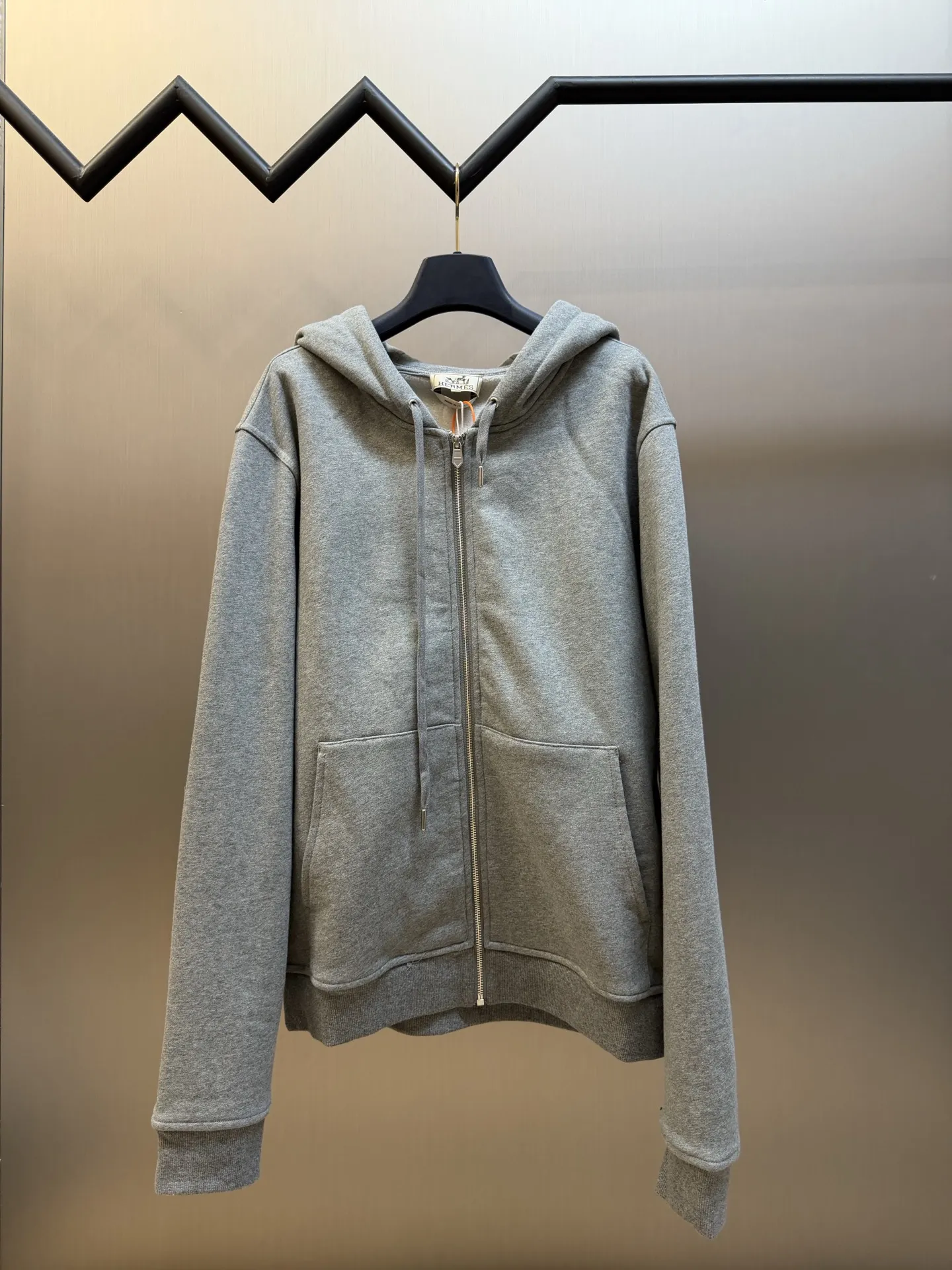Equestrian Graphic Zip-Up Hoodie D33519150