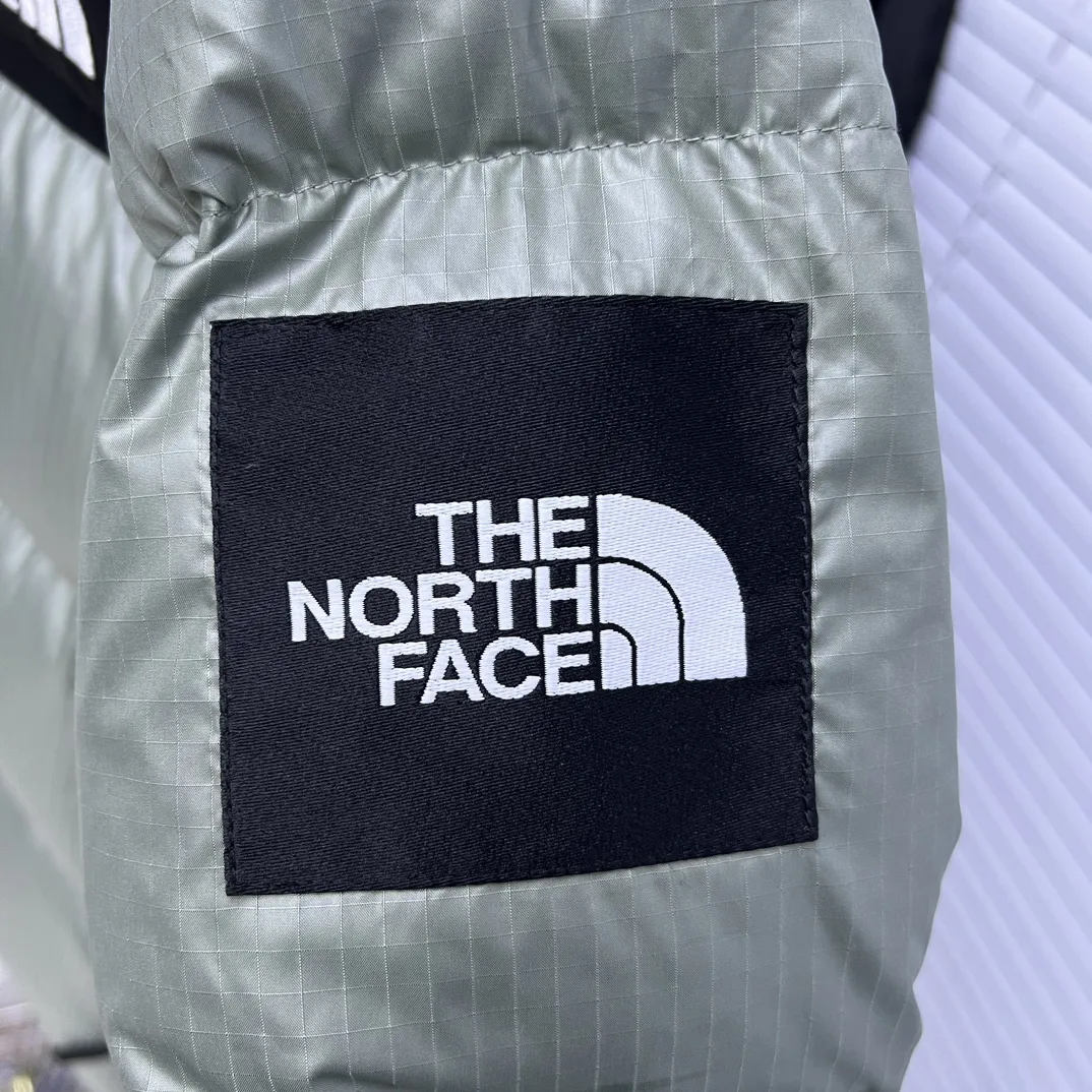 1996 Retro Nuptse Down-Filled Puffer Jacket D35019036 — view 5