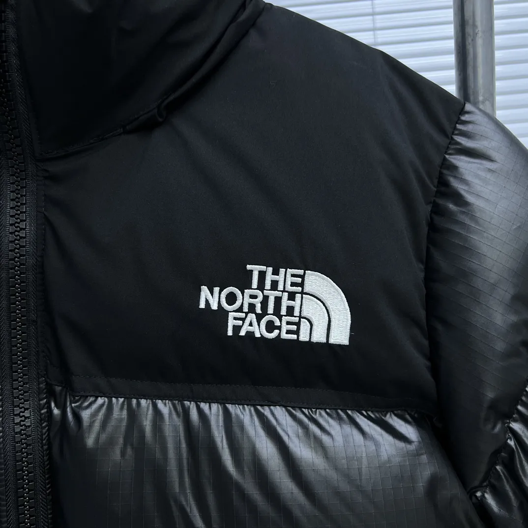 1996 Retro Nuptse Down-Filled Puffer Jacket D35019040 — view 4