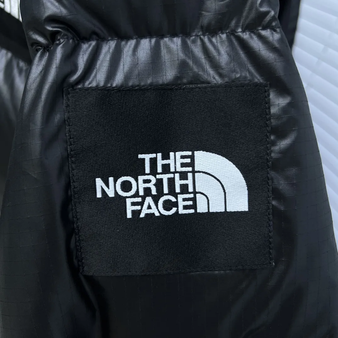 1996 Retro Nuptse Down-Filled Puffer Jacket D35019040 — view 5