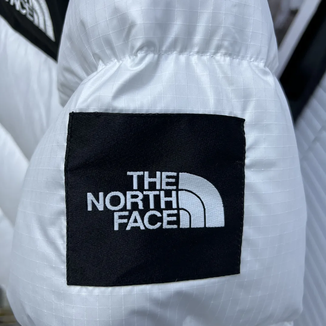 1996 Retro Nuptse Down-Filled Puffer Jacket D35019038 — view 5