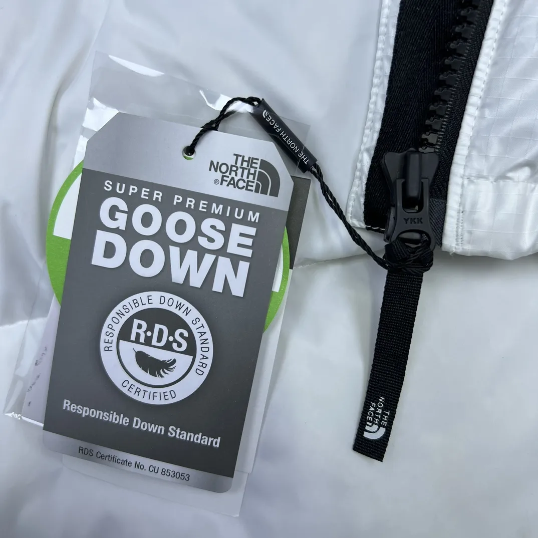 1996 Retro Nuptse Down-Filled Puffer Jacket D35019038 — view 9