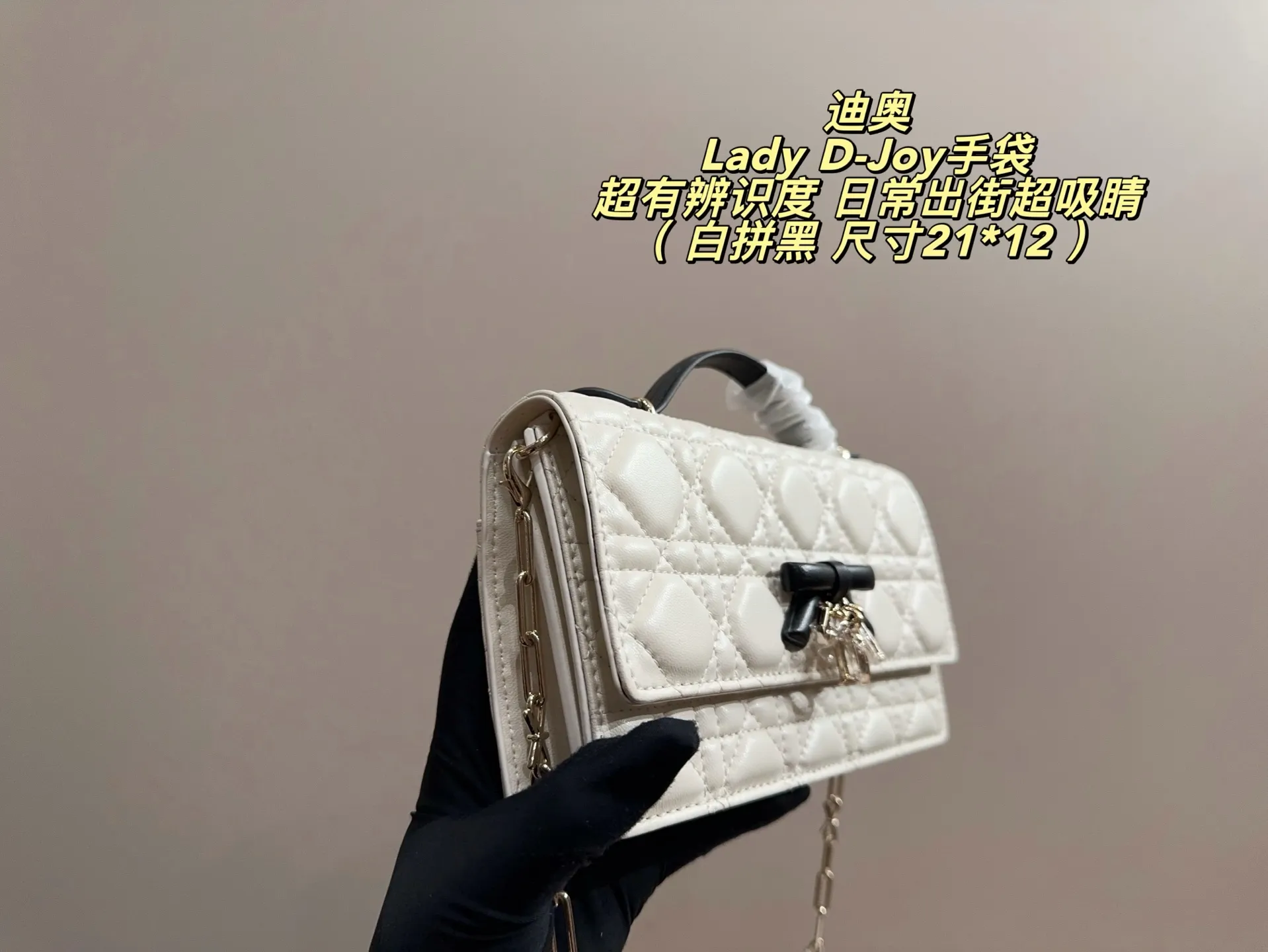 Lady D-Joy Quilted Shoulder Bag D35517979 — view 13