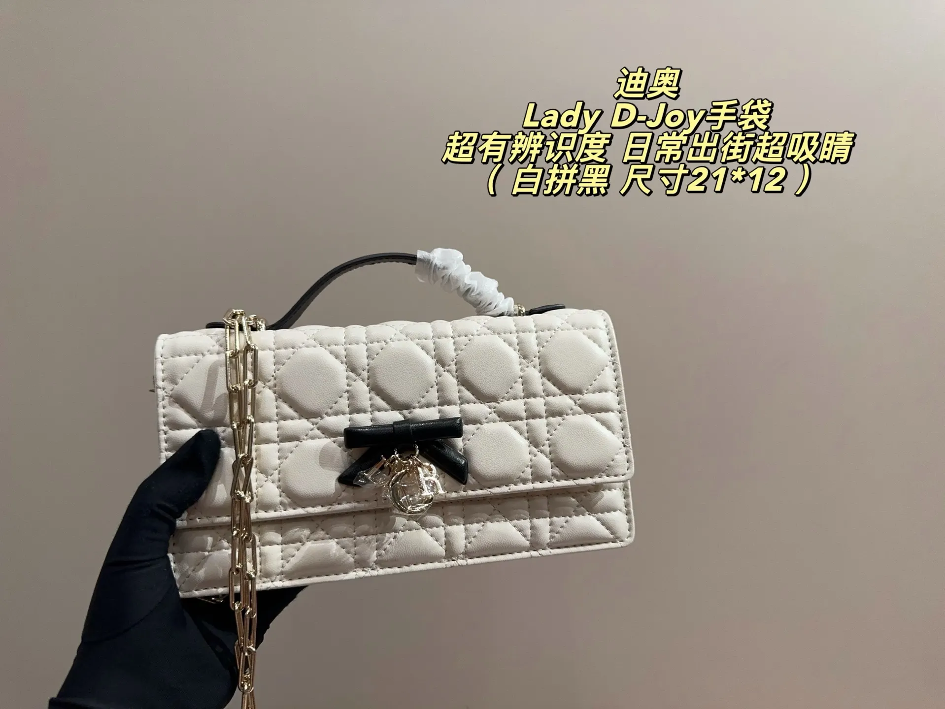 Lady D-Joy Quilted Shoulder Bag D35517979 — view 16