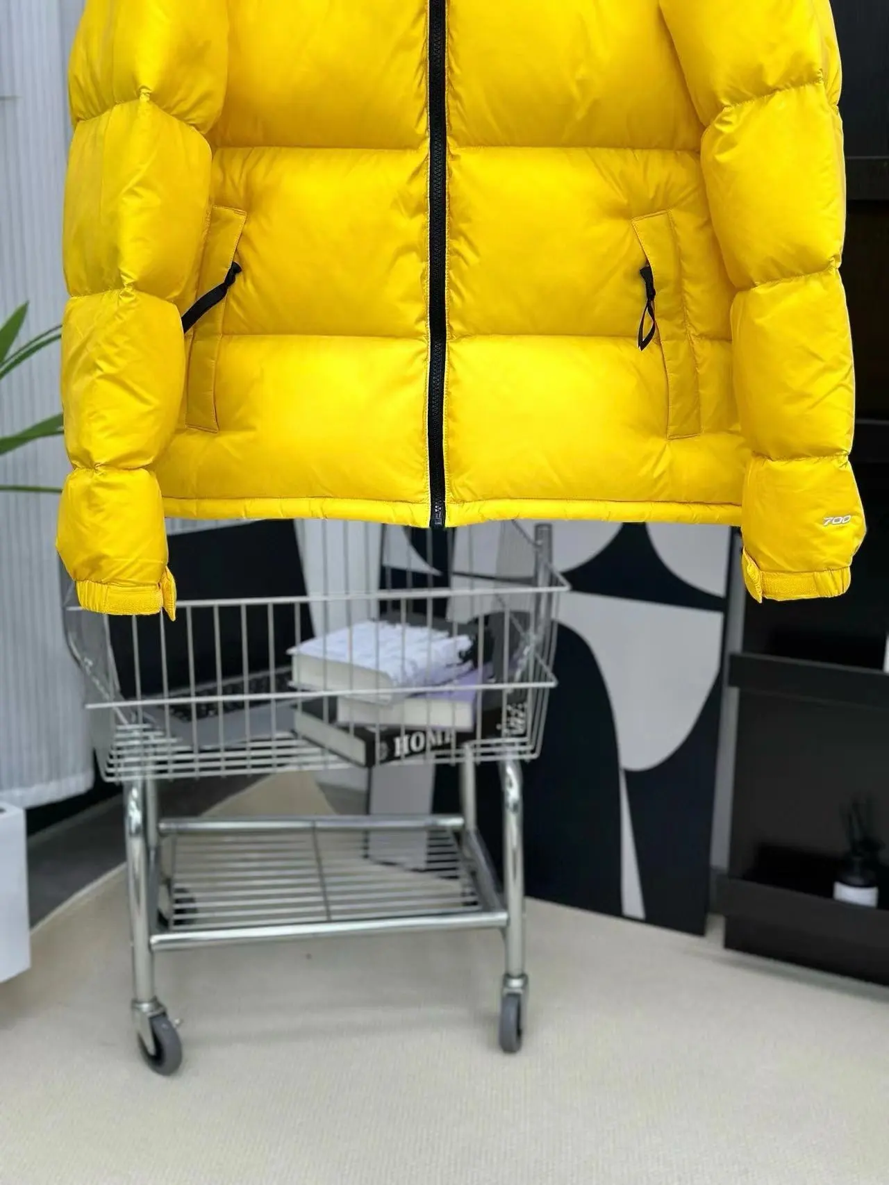 1996 Retro Nuptse Down-Filled Puffer Jacket D37020760 — view 4