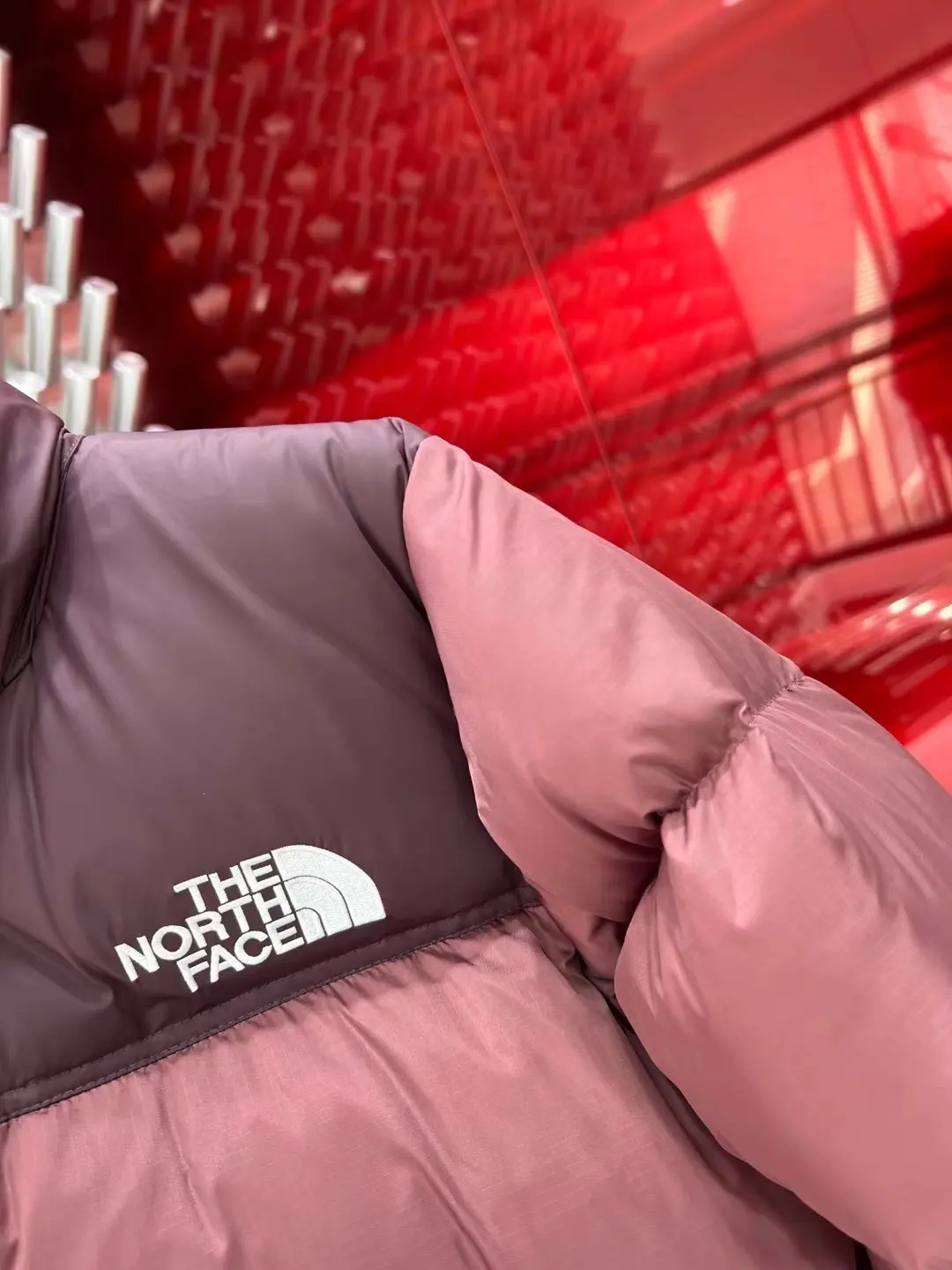 1996 Retro Nuptse Down Jacket D37020761 — view 5