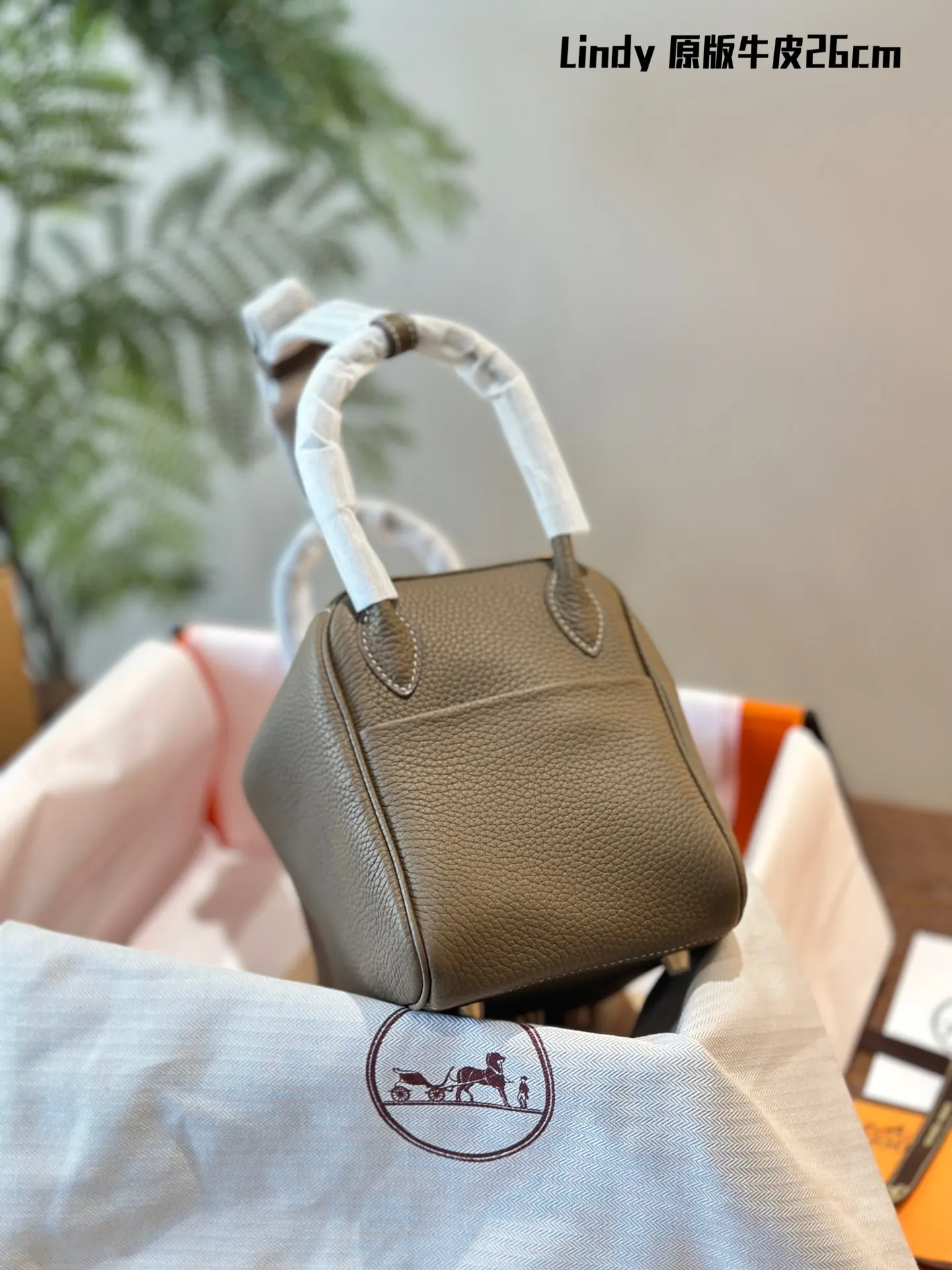 Lindy Grained Leather Top-Handle Bag D43017818 — view 12