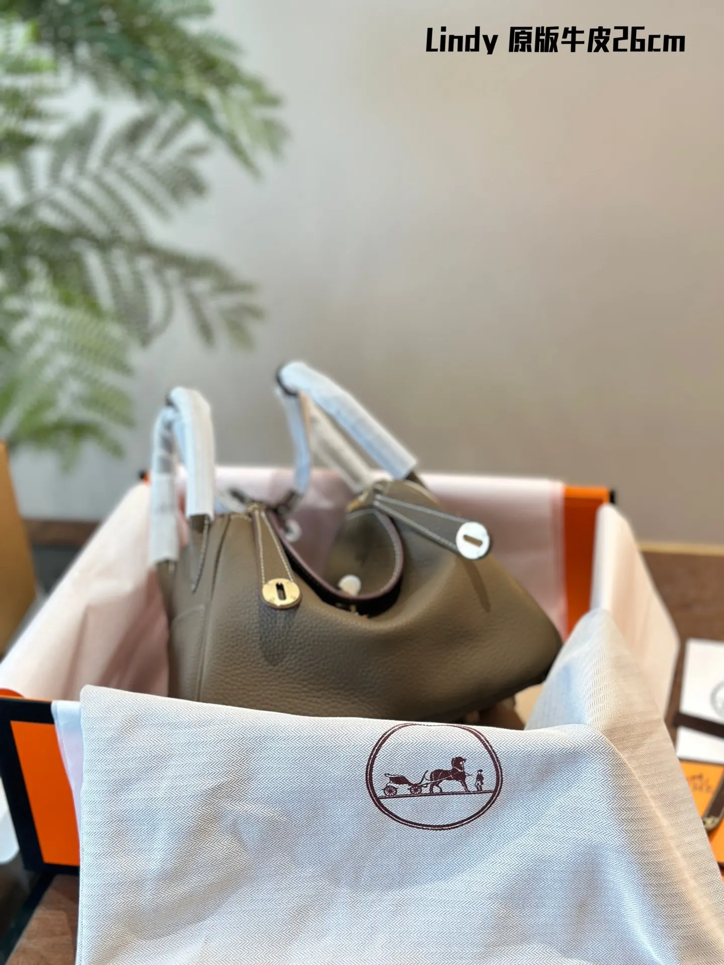 Lindy Grained Leather Top-Handle Bag D43017818 — view 15