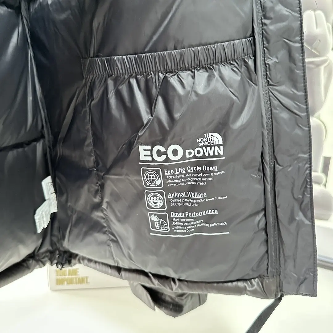 1996 Retro Nuptse Down Jacket D45020931 — view 9